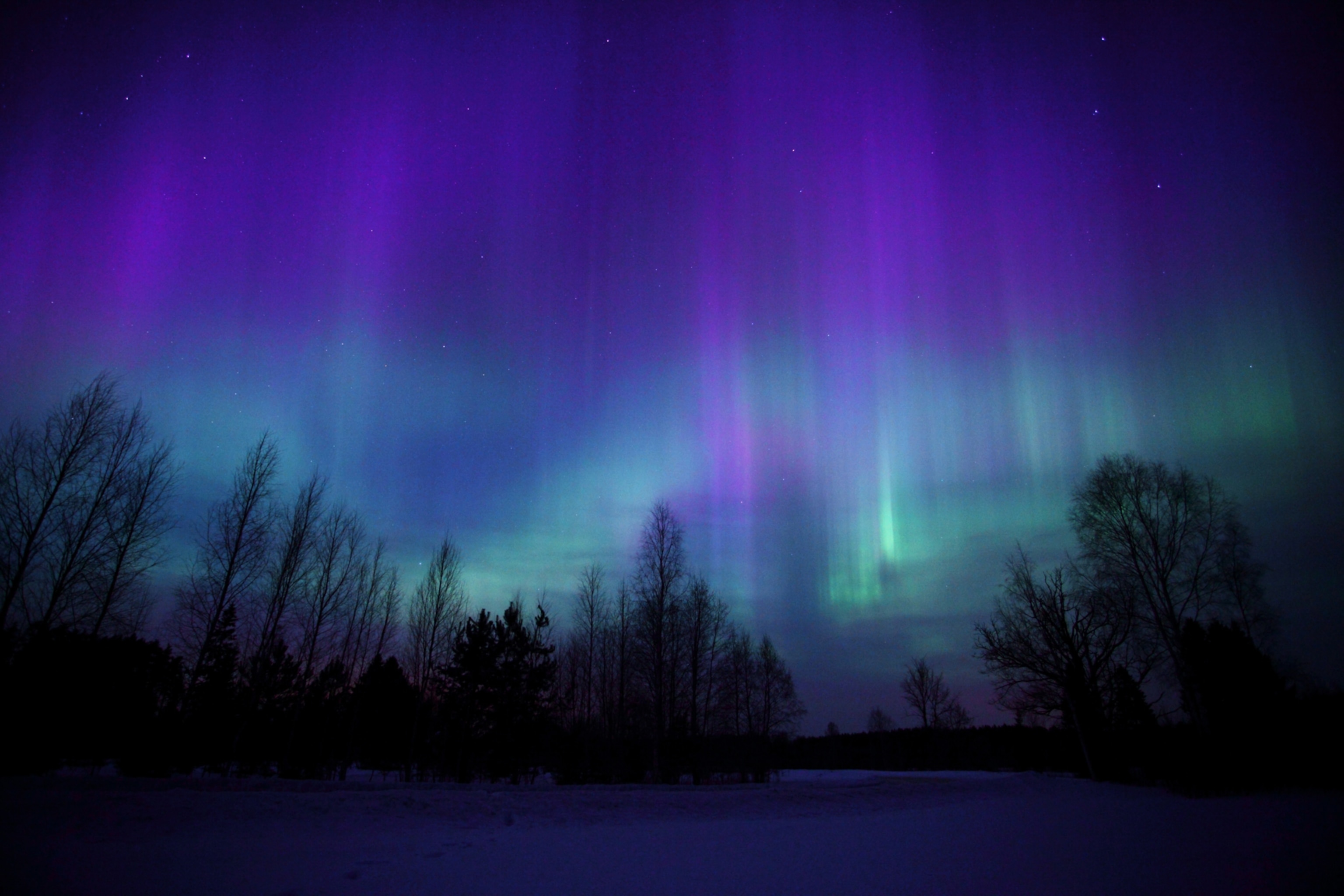 Week in Space 259 - Picture of Northern Lights Display over Estonia