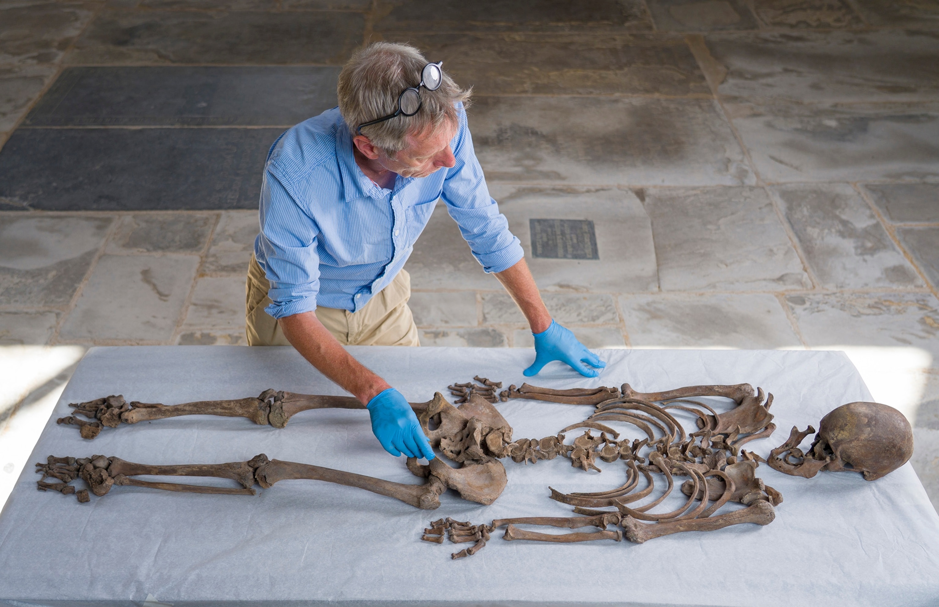 A man wearing a blue button down shirt examines a human skeleton lying on a surface.