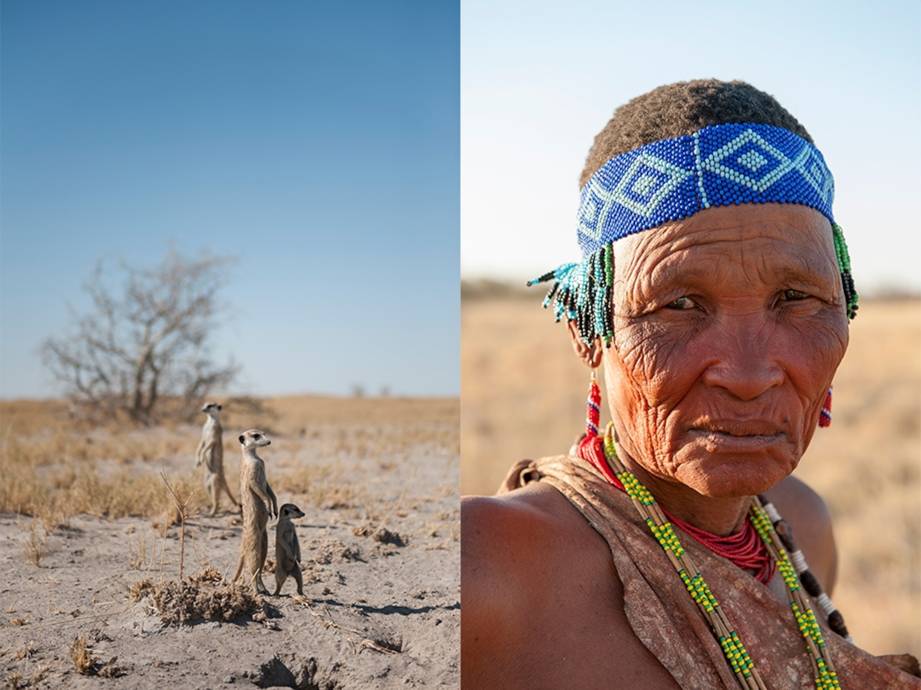meerkats and a San woman