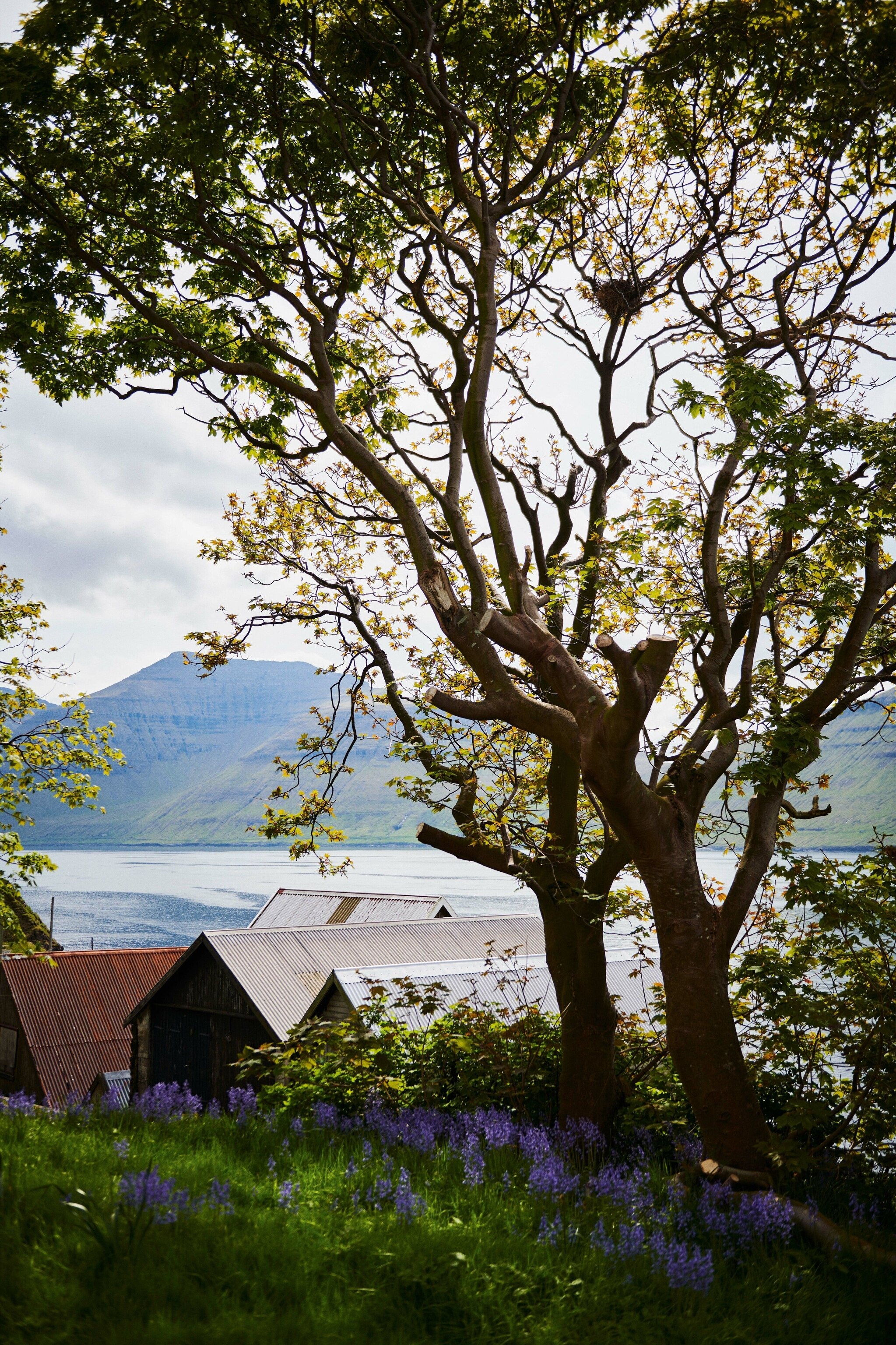 View over Kunoy village, on the island of Kunoy.