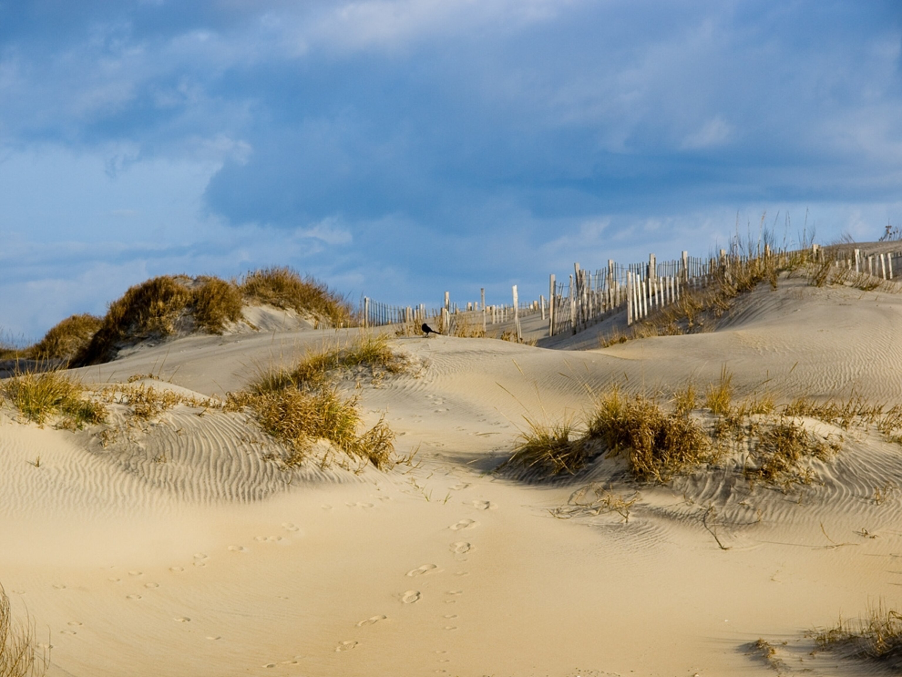 Cape Hatteras, North Carolina, one of the ten best U.S. beaches of 2011