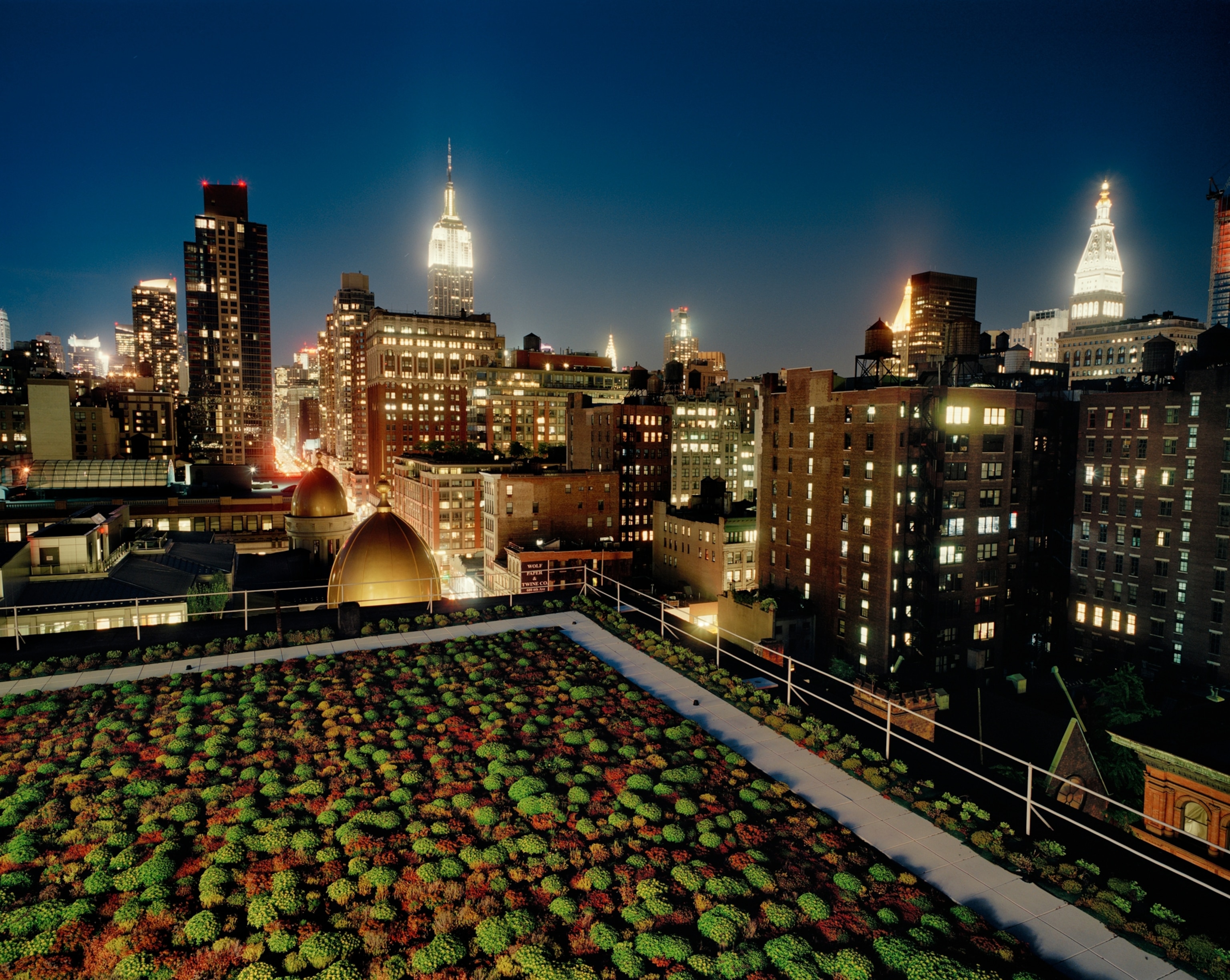 the green roof at New York's architectural firm Cook + Fox