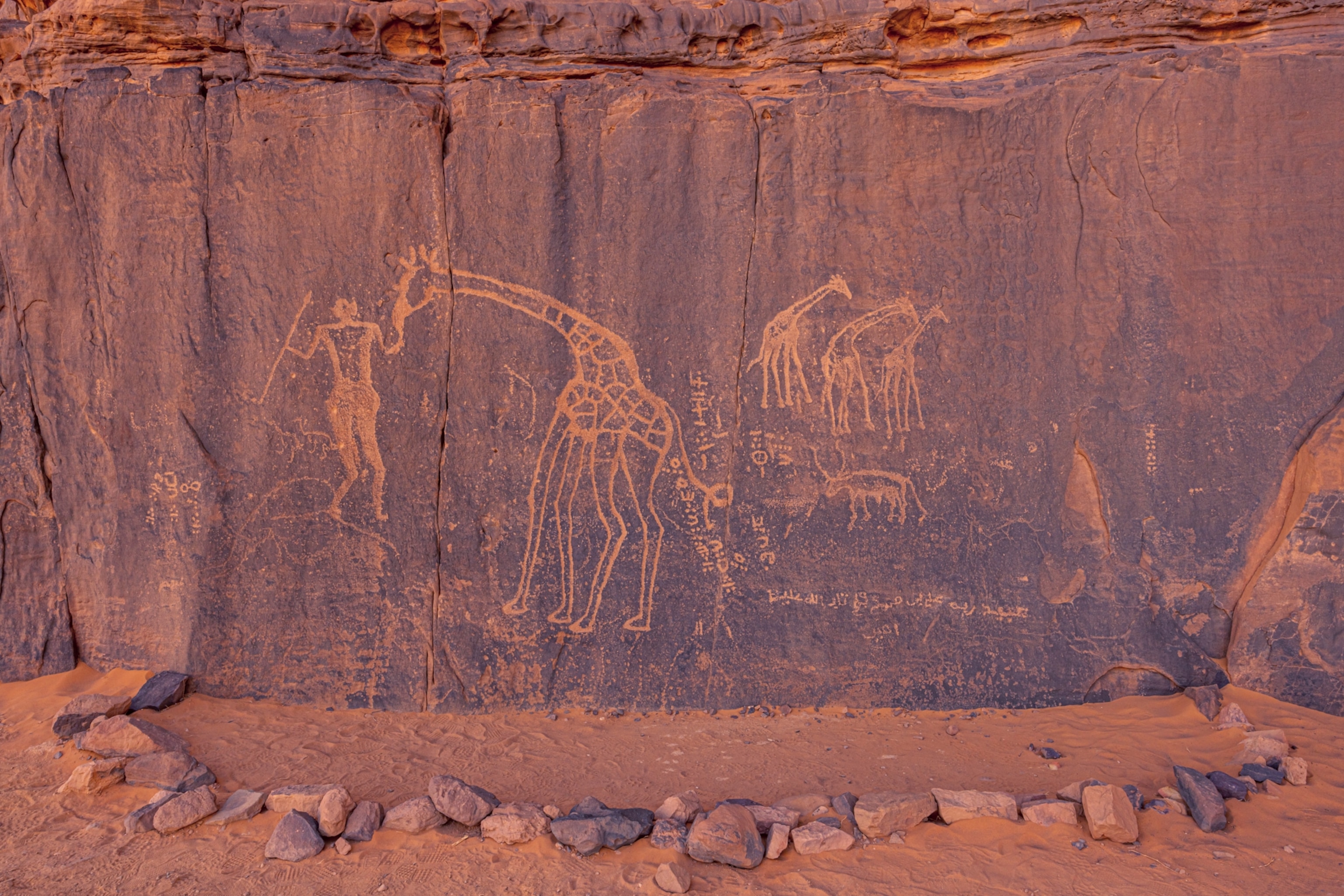 Tassili n'Ajjer タッシリ ナジェール・先史時代のアート（仏語版） Tassili n'Ajjer - UNESCO World Heritage Centre