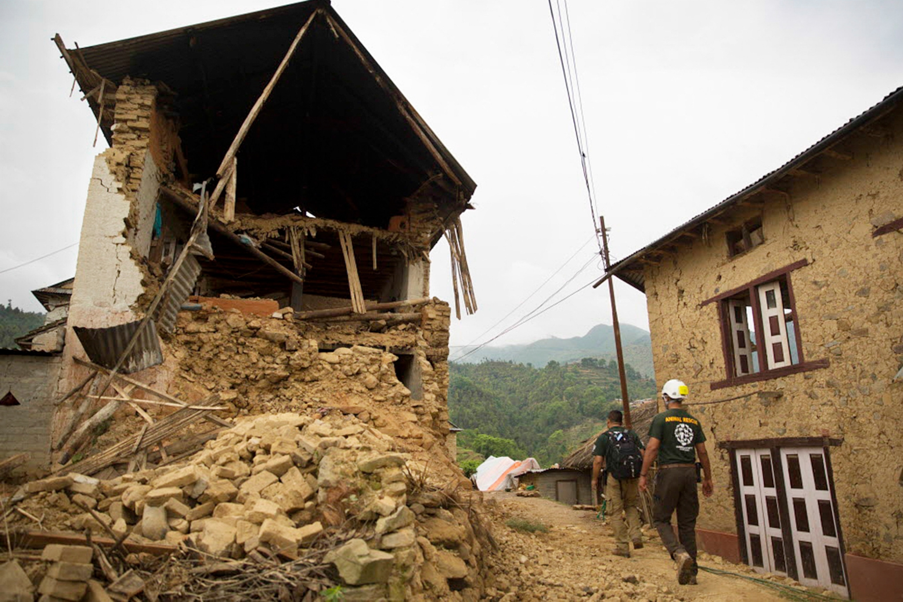 Human Society workers looking for trapped animals in Nepal