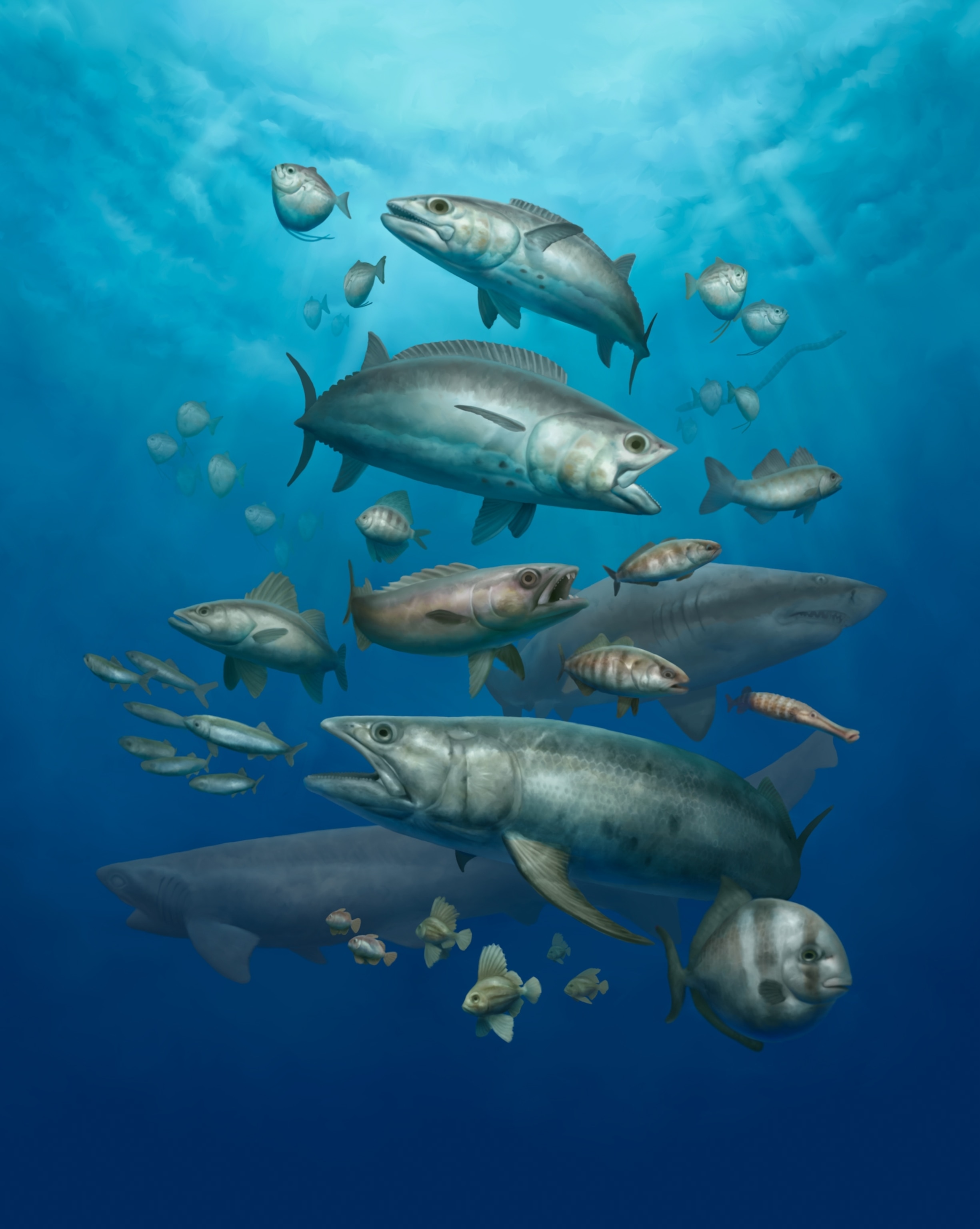 An artist's depiction of over a dozen different species of fish that were observed in the Qreiya fossils