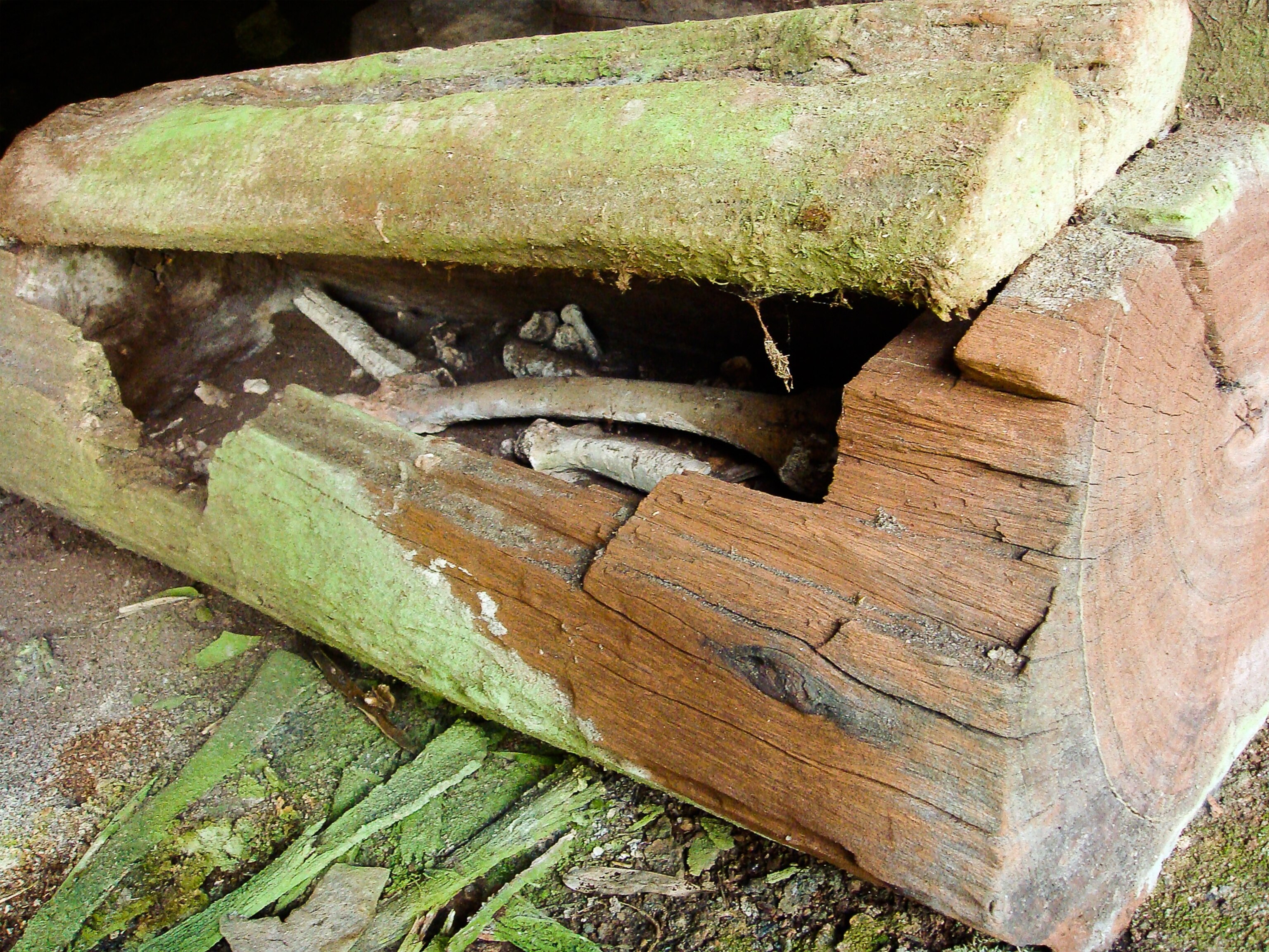 Log coffin picture: mountain burial in Cambodia
