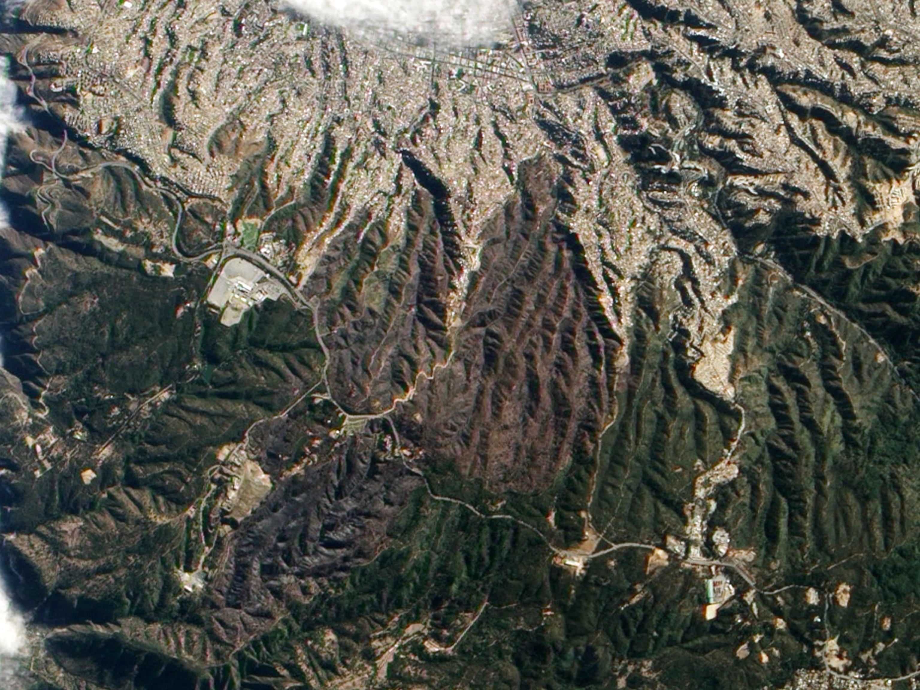 a star cluster located in the center of the Flame Nebula.