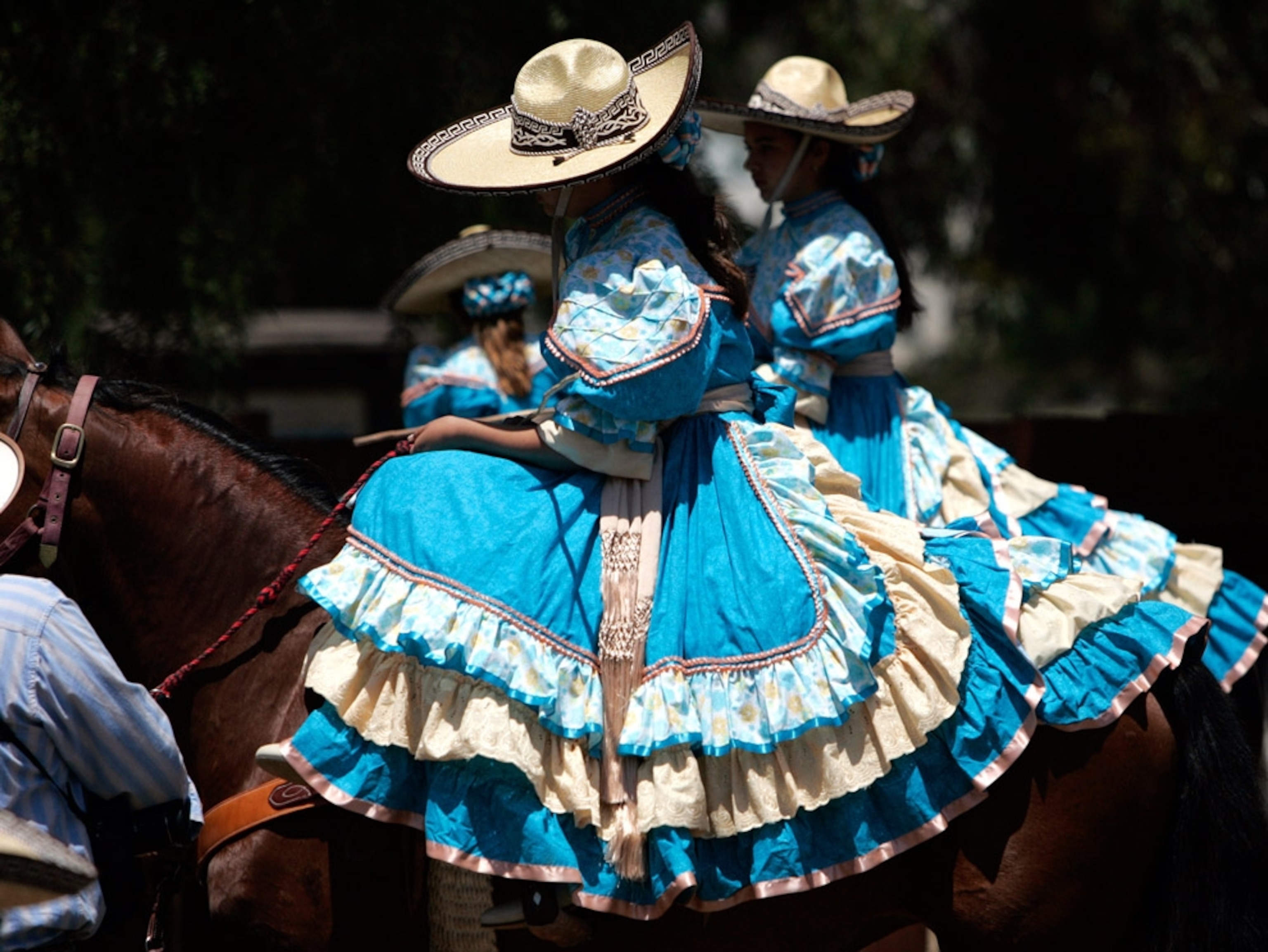 Escaramuzas Golondrinas