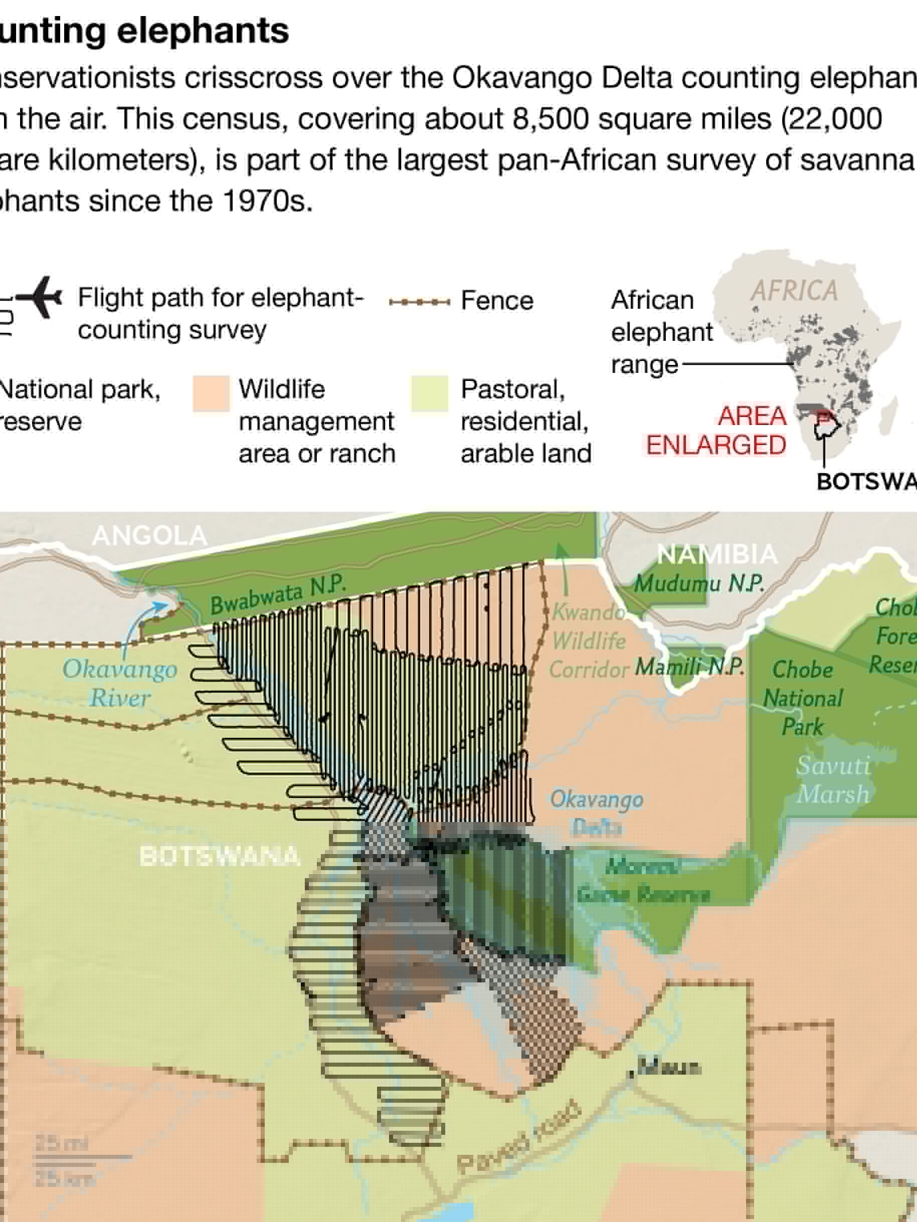 Counting Elephants From the Air in Africa’s Newest World Heritage Site