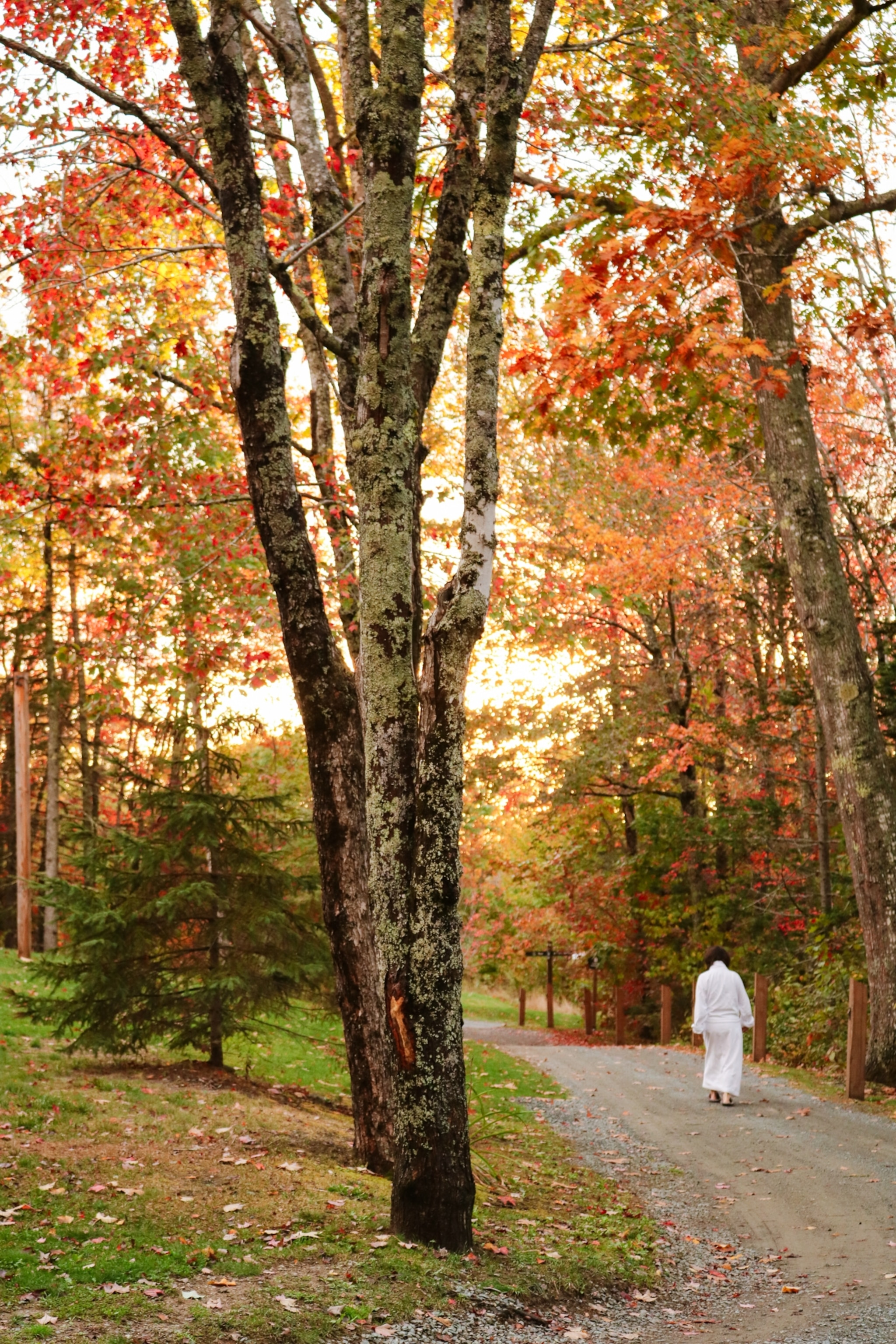 A guest walks through fall foliage at Terramor Outdoor Resort, Acadia National Park, Maine