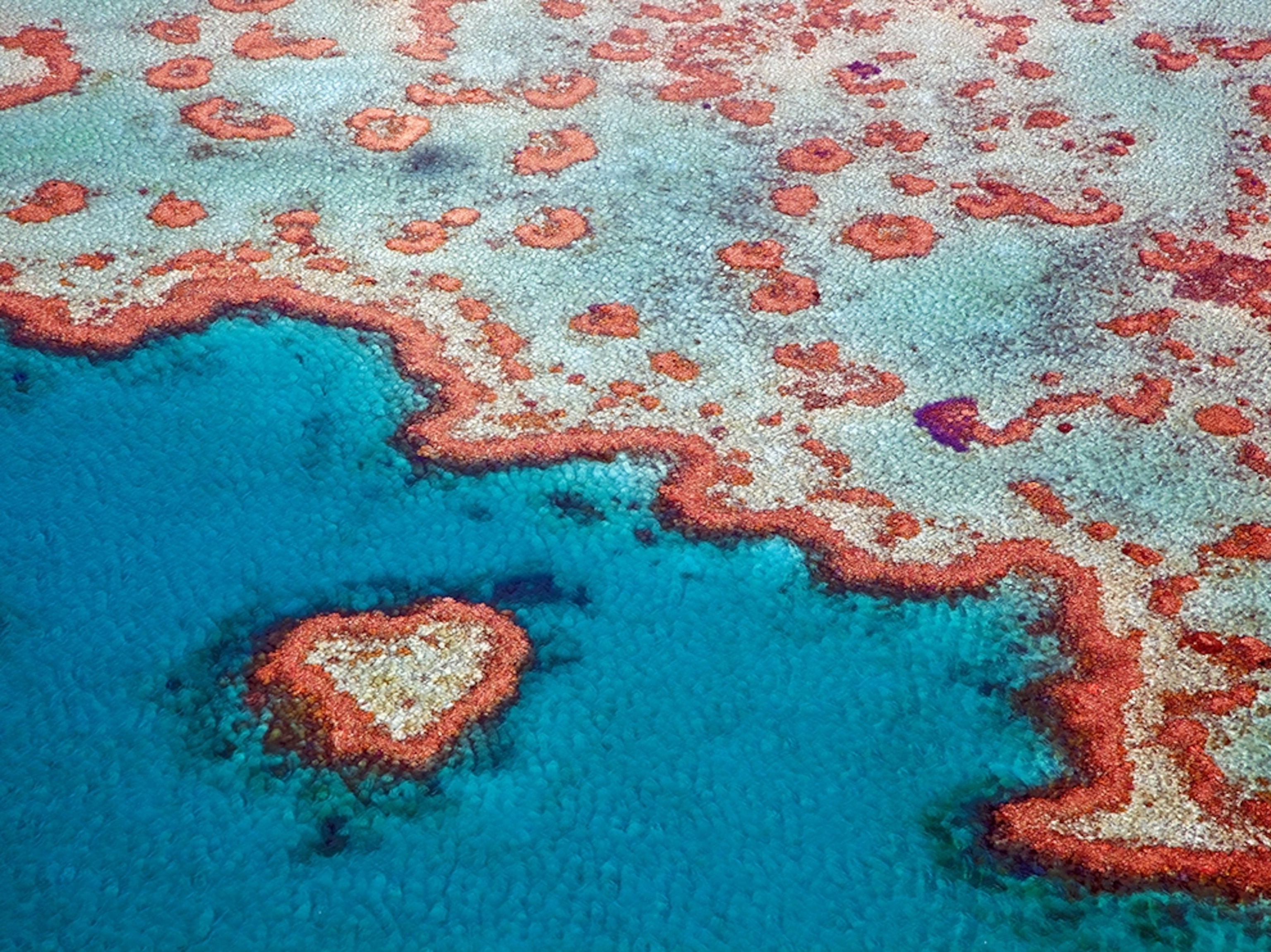 Aerial picture of Heart Reef, Great Barrier Reef, Australia