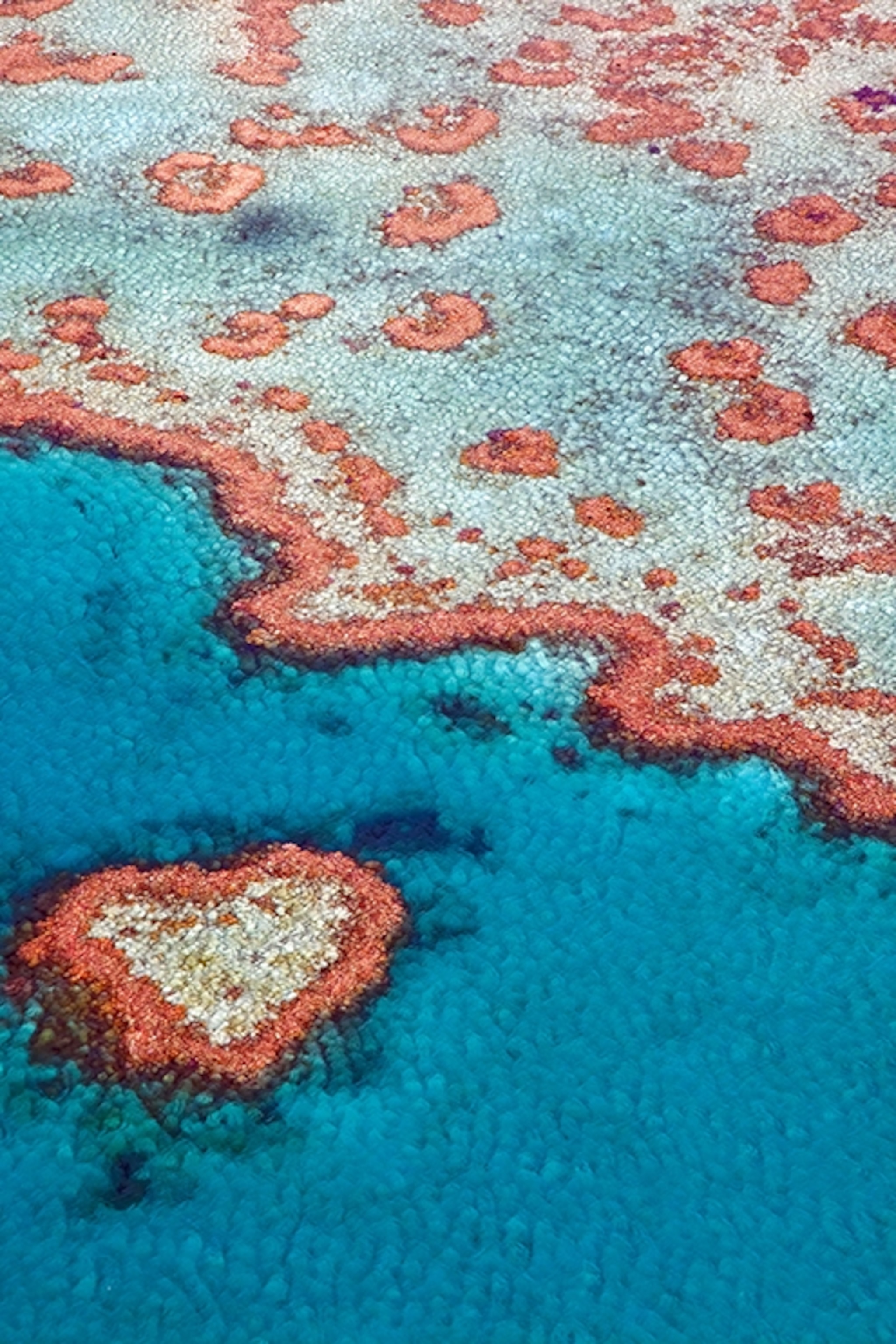 A Guide To Visiting The Great Barrier Reef Australia