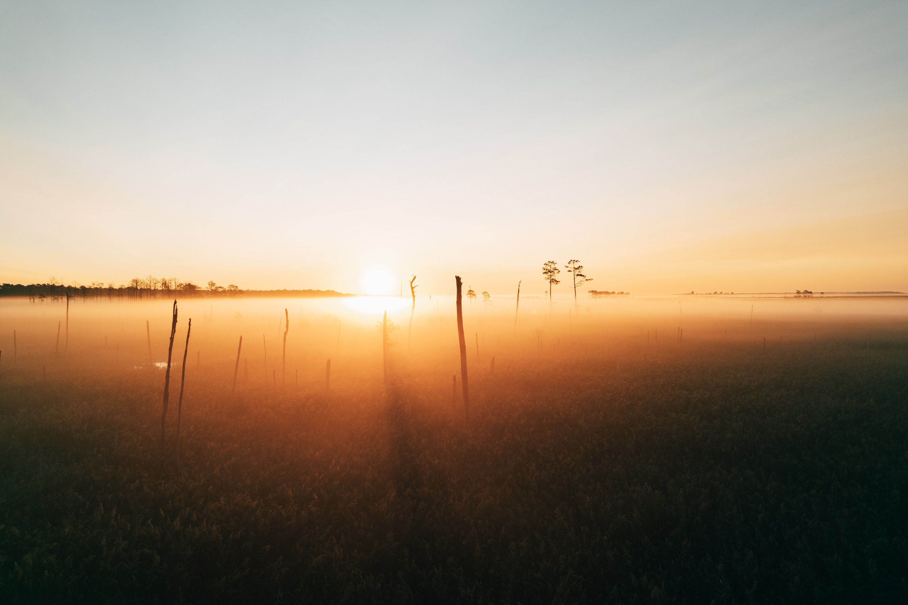 The sun rises over a bare forest.