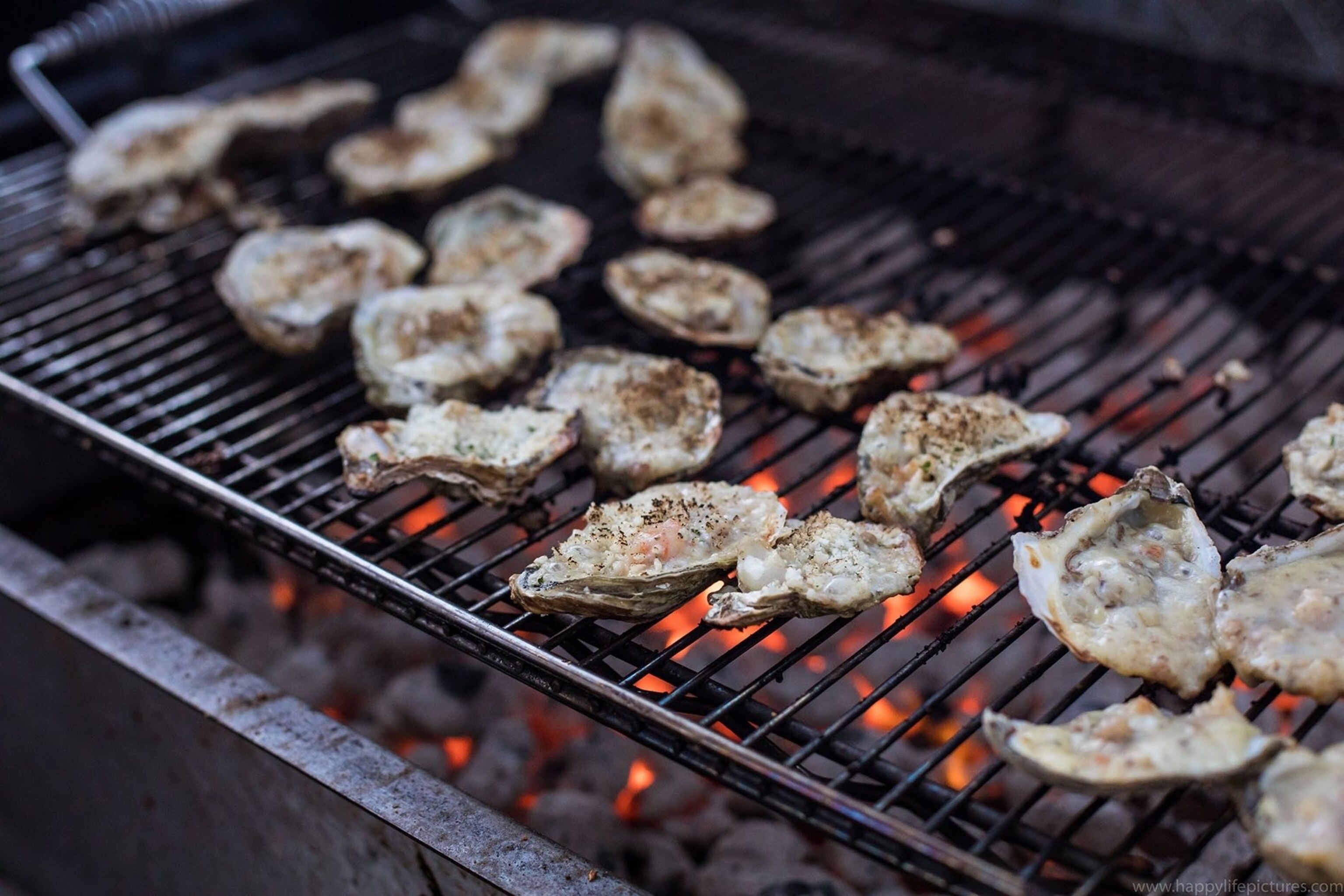 From Tampa, it’s just a short drive to the Gulf of Mexico, breeding ground of the Gulf oyster.