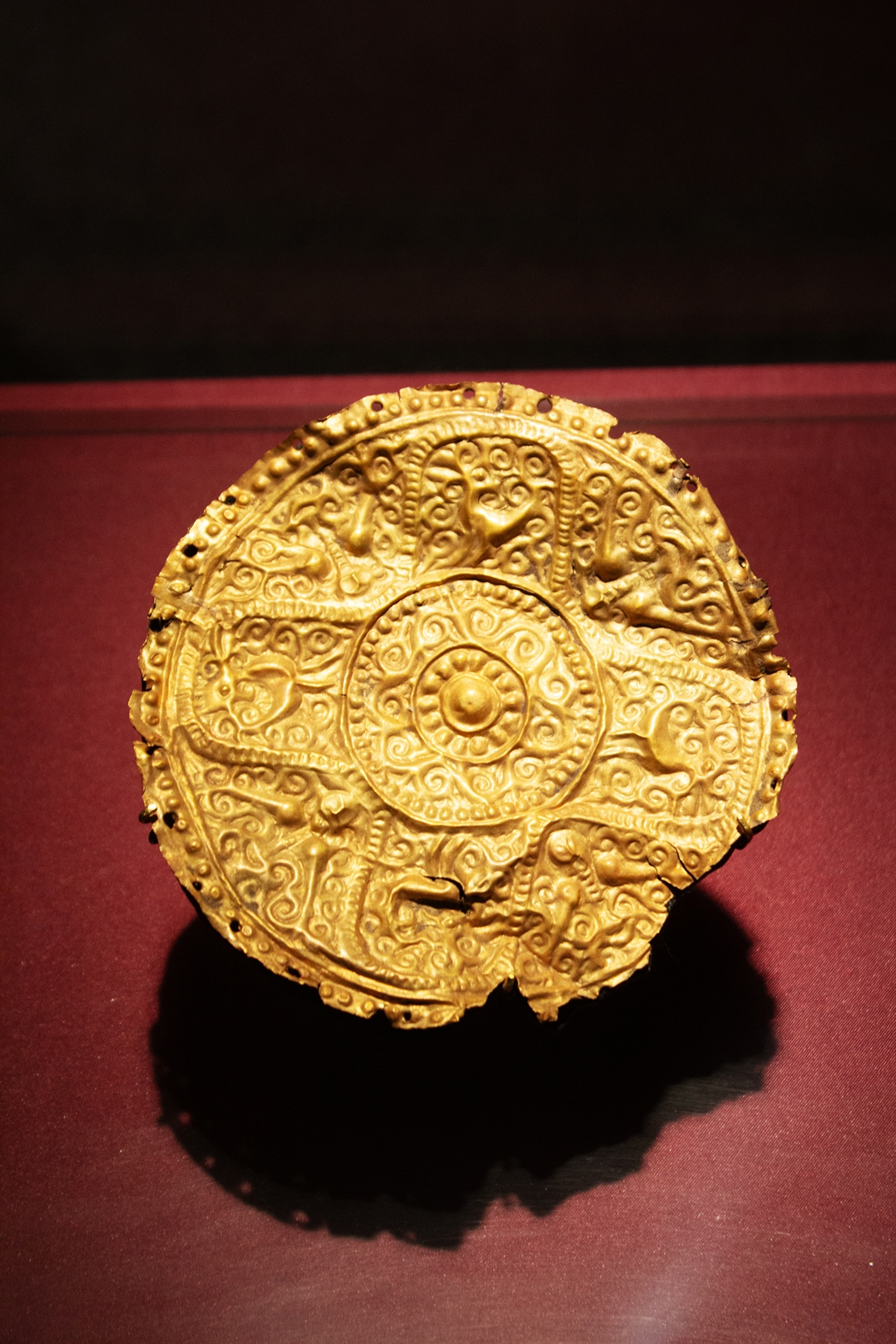 A photograph of a golden pectoral