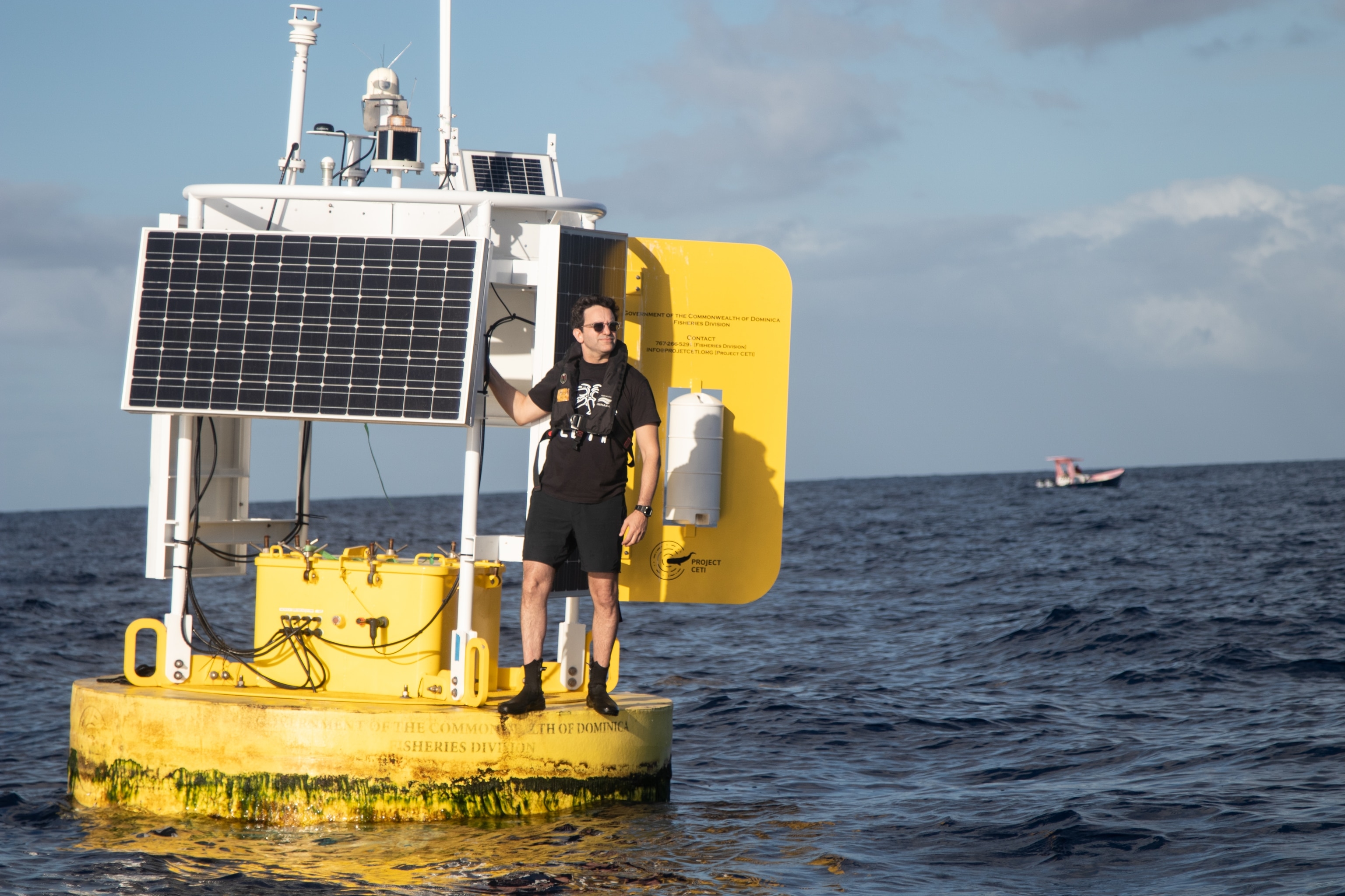 Marine Biologist and National Geographic Explorer David Gruber is the founder and president of Project CETI (Cetacean Translation Initiative), a nonprofit, interdisciplinary initiative on a mission to listen to and translate the communication of sperm whales.