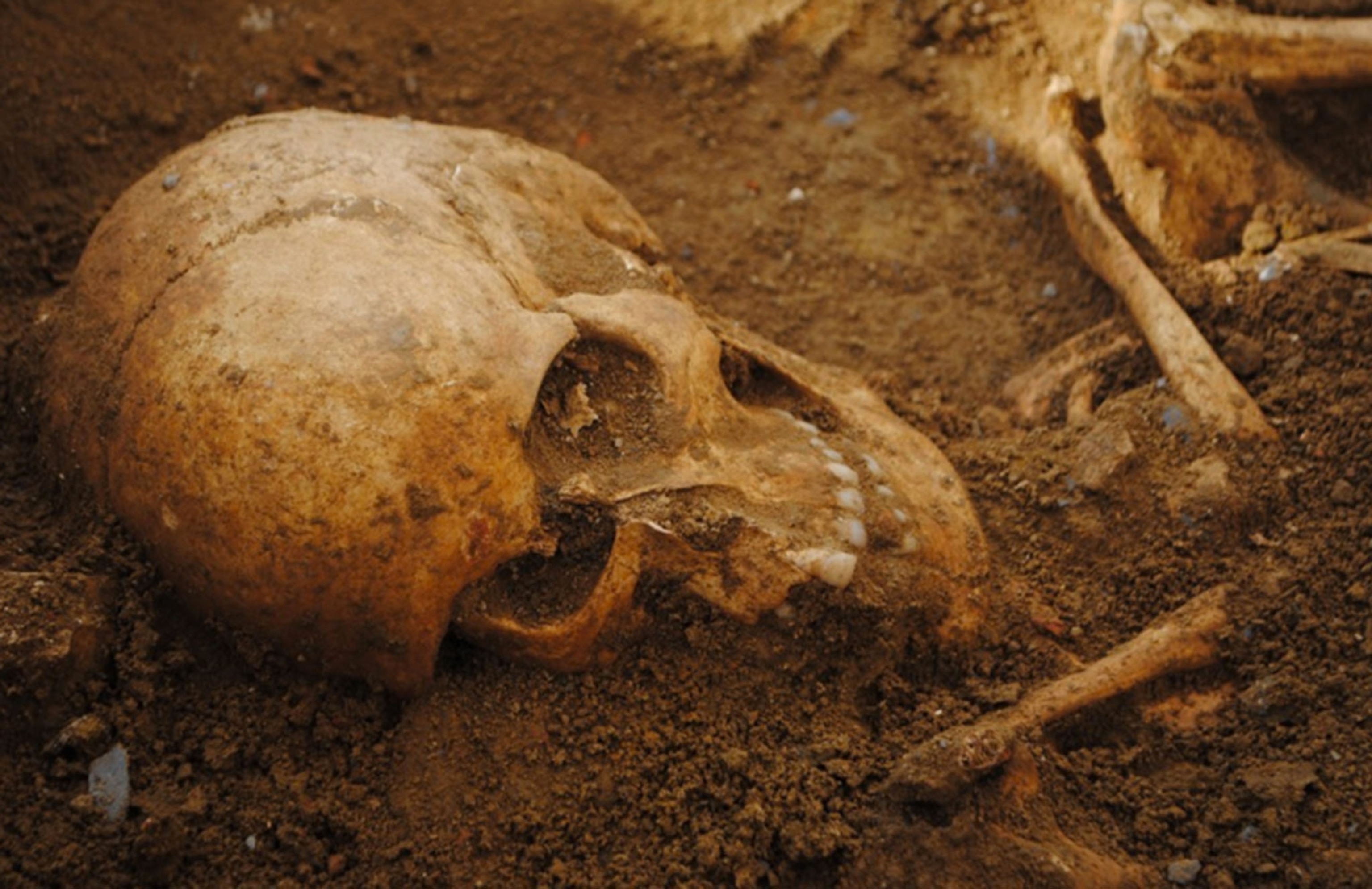 skeletons at the Badia Pozzeveri church cemetery near Luccia, archaeologists have uncovered