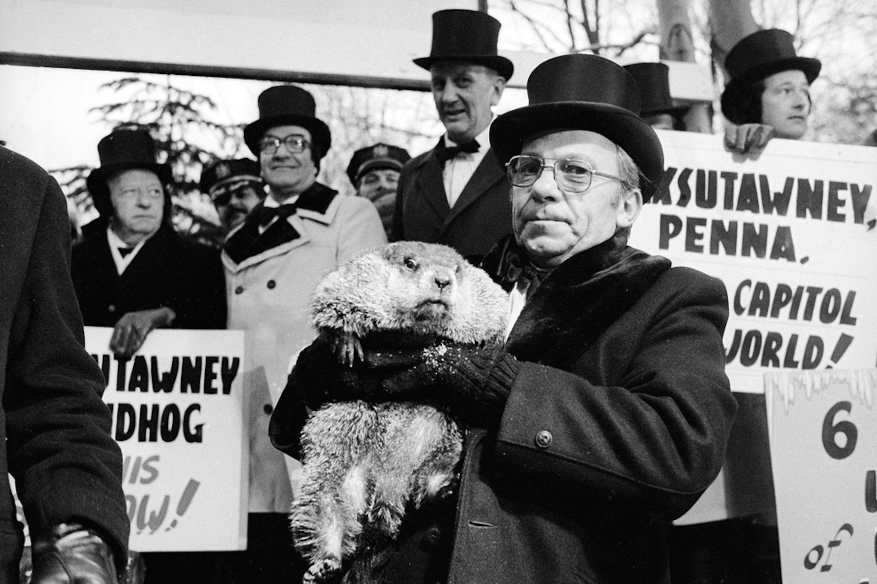 The groundhog Punxsutawney Phil is held in front of a crowd.
