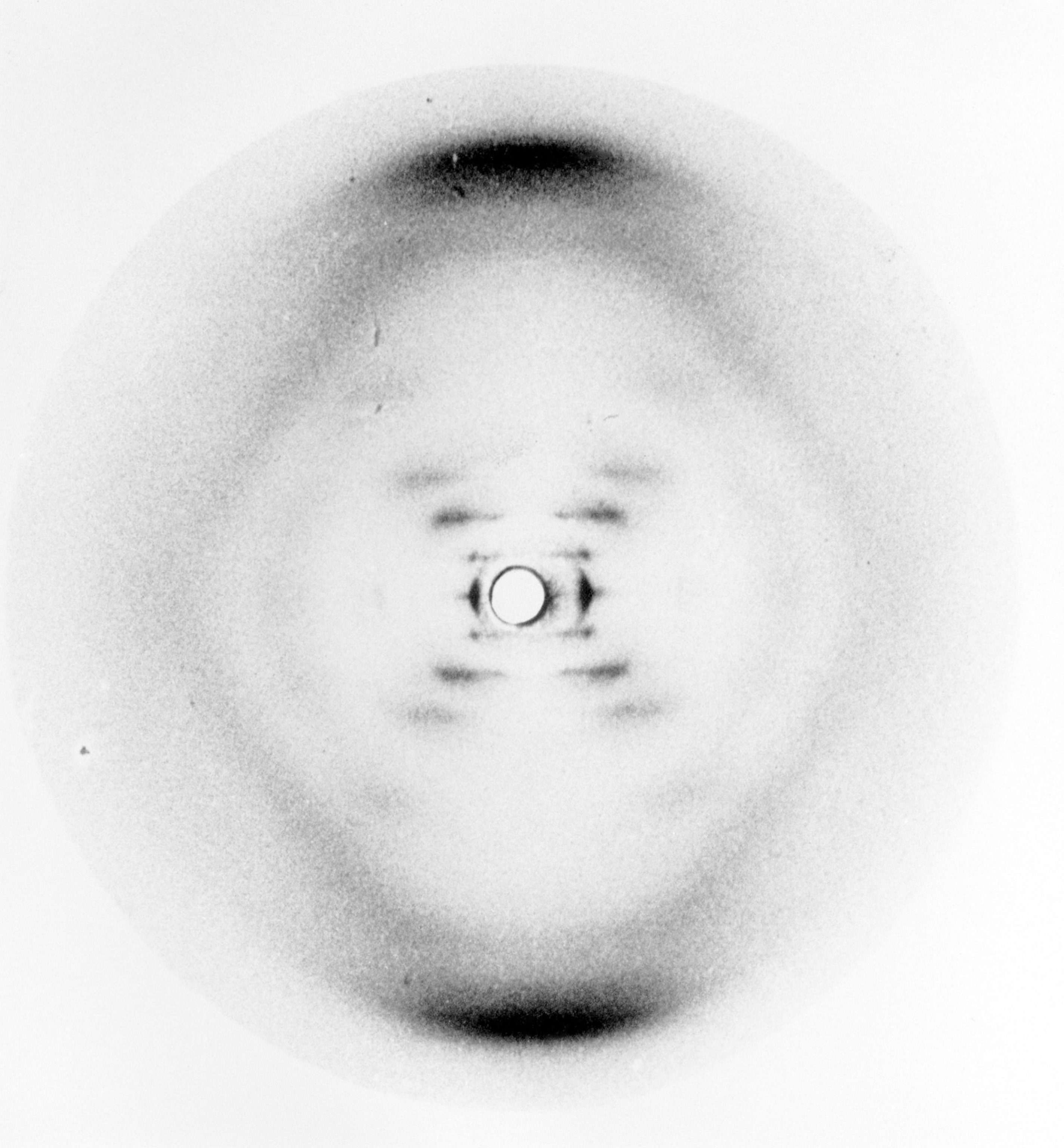 A black and white x-ray image of a stand of DNA, revealing 2 strands of paired nucleic acids arranged in a double helix