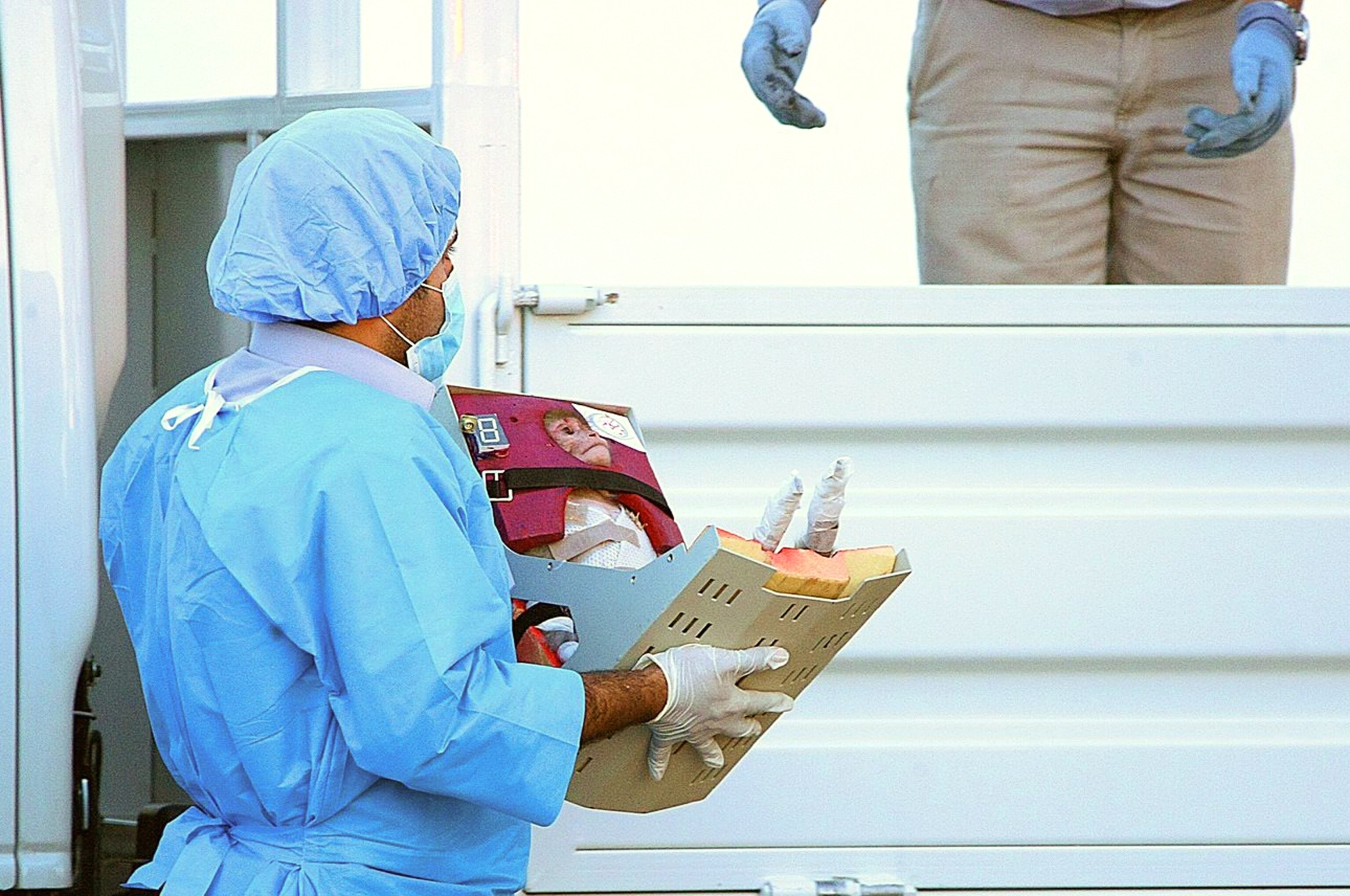 a monkey reportedly sent to space by Iran