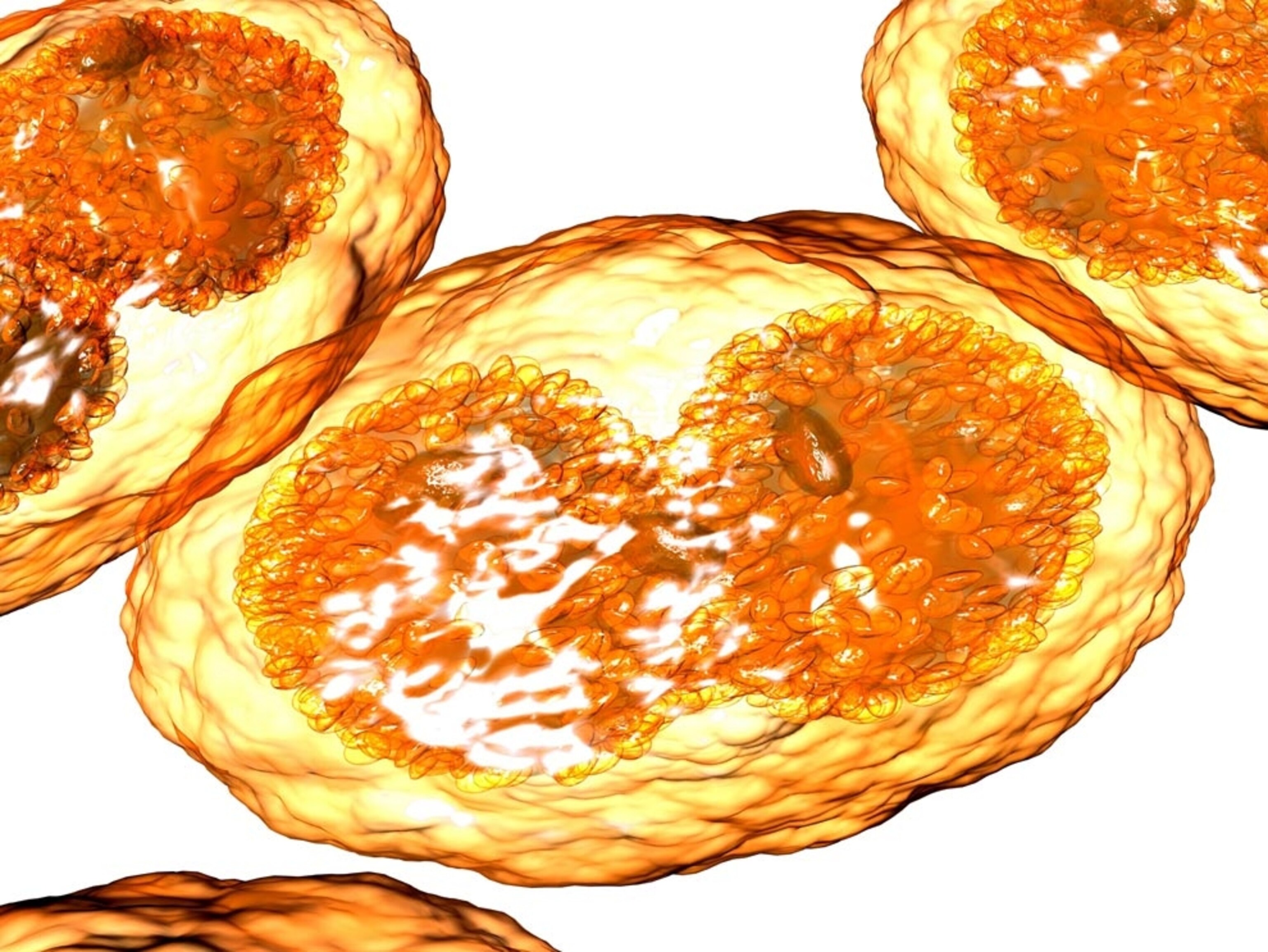 'WorstEver' Case of SuperGonorrhea Detected in U.K. Man