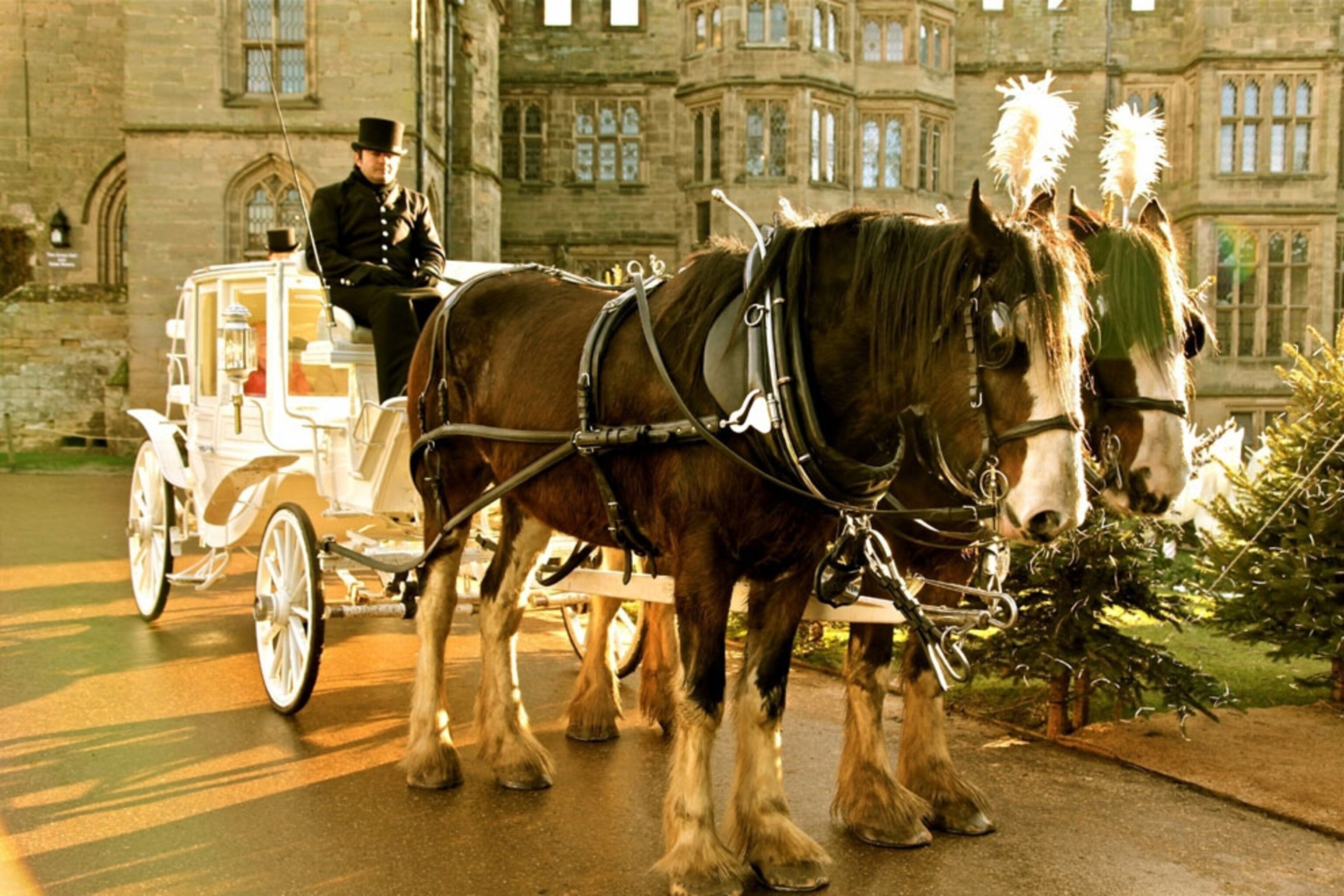 Horse and carriage at Warwick castle