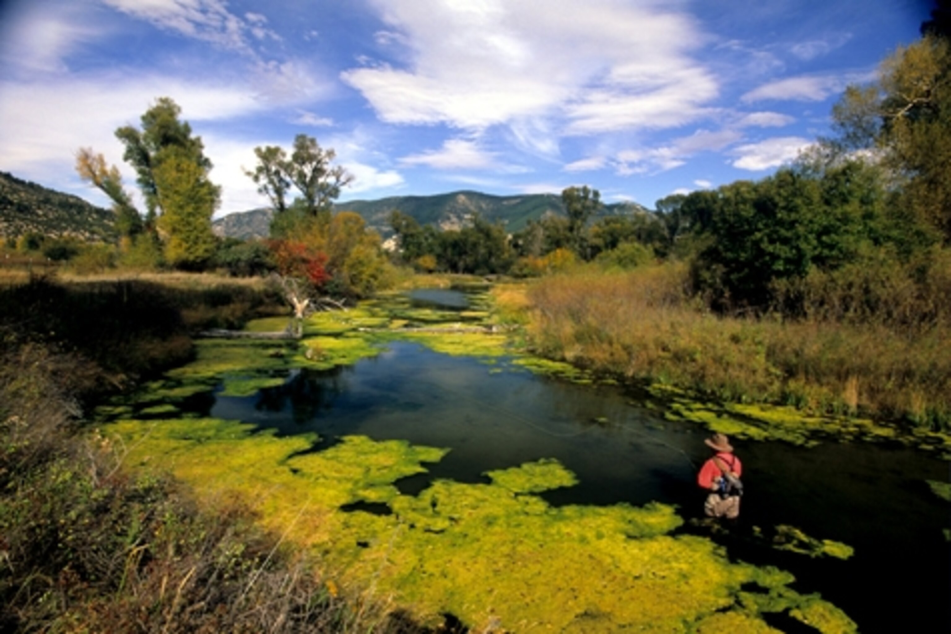 Best American Adventures FlyFish the Spring Creeks of Paradise Valley