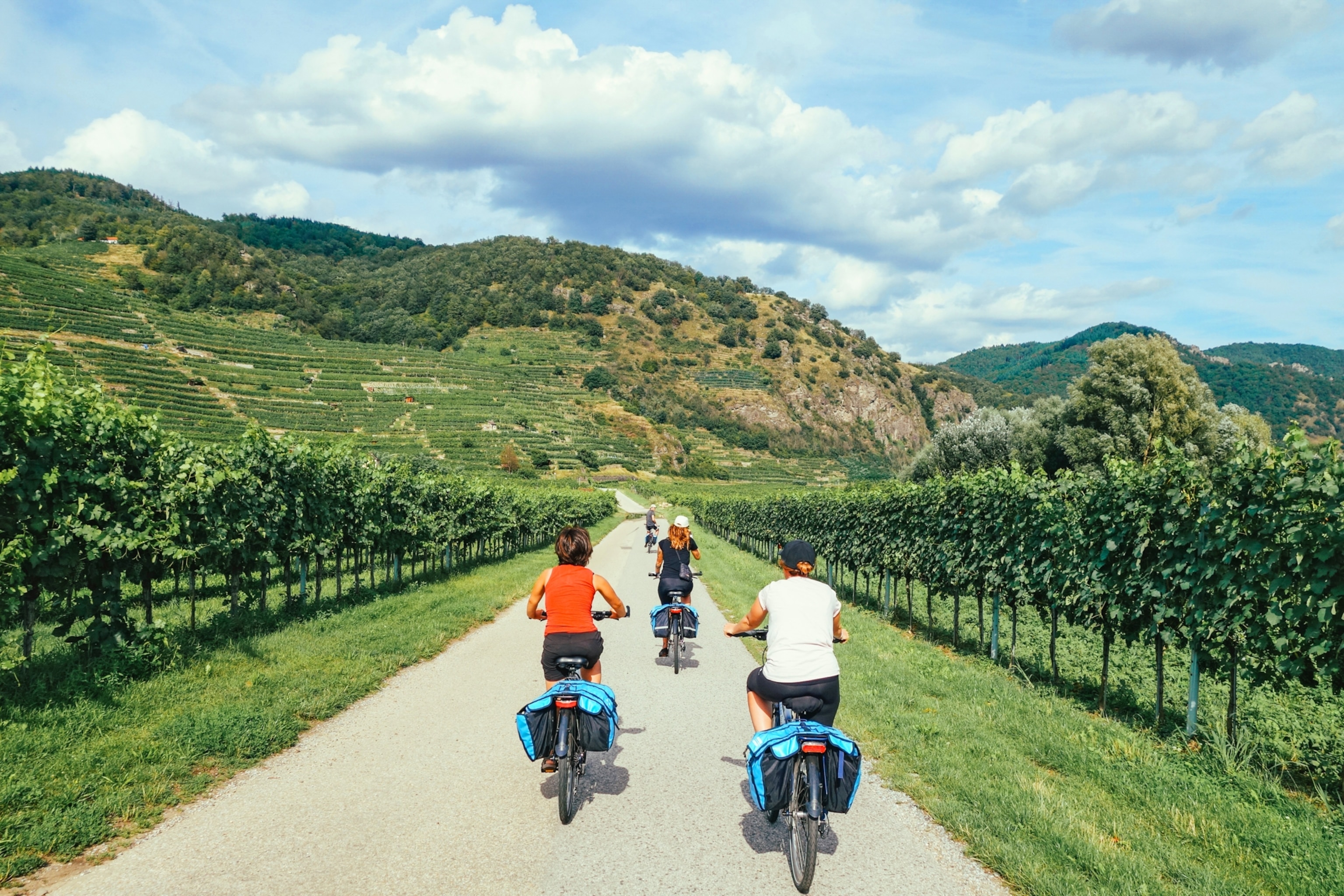 People ride bicycles along a paved road between rows of vineyards, with green hills and mountains rising beneath a sky filled with large clouds.