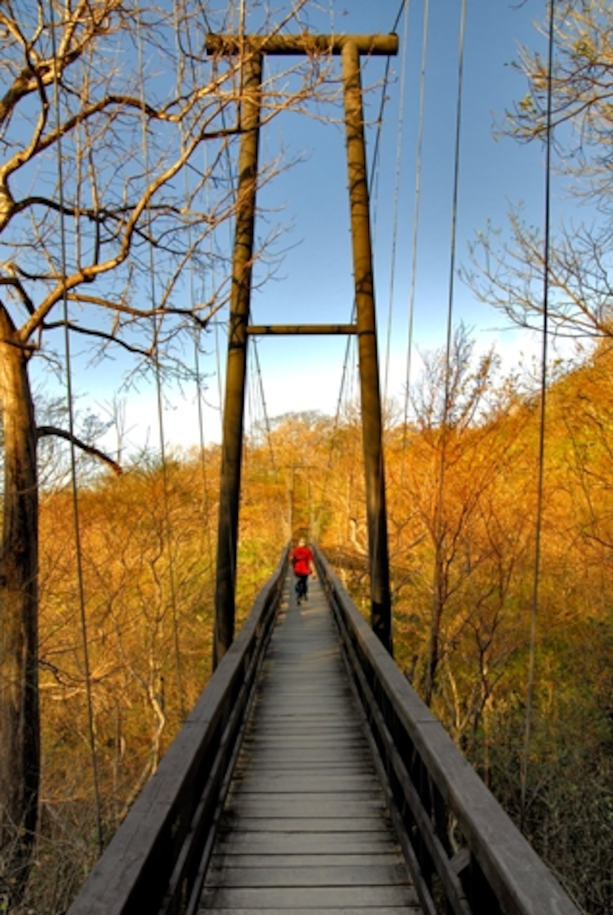 Morgan's Rock constructed suspended bridges to preserve local flora. (Photograph courtesy Morgan's Rock)