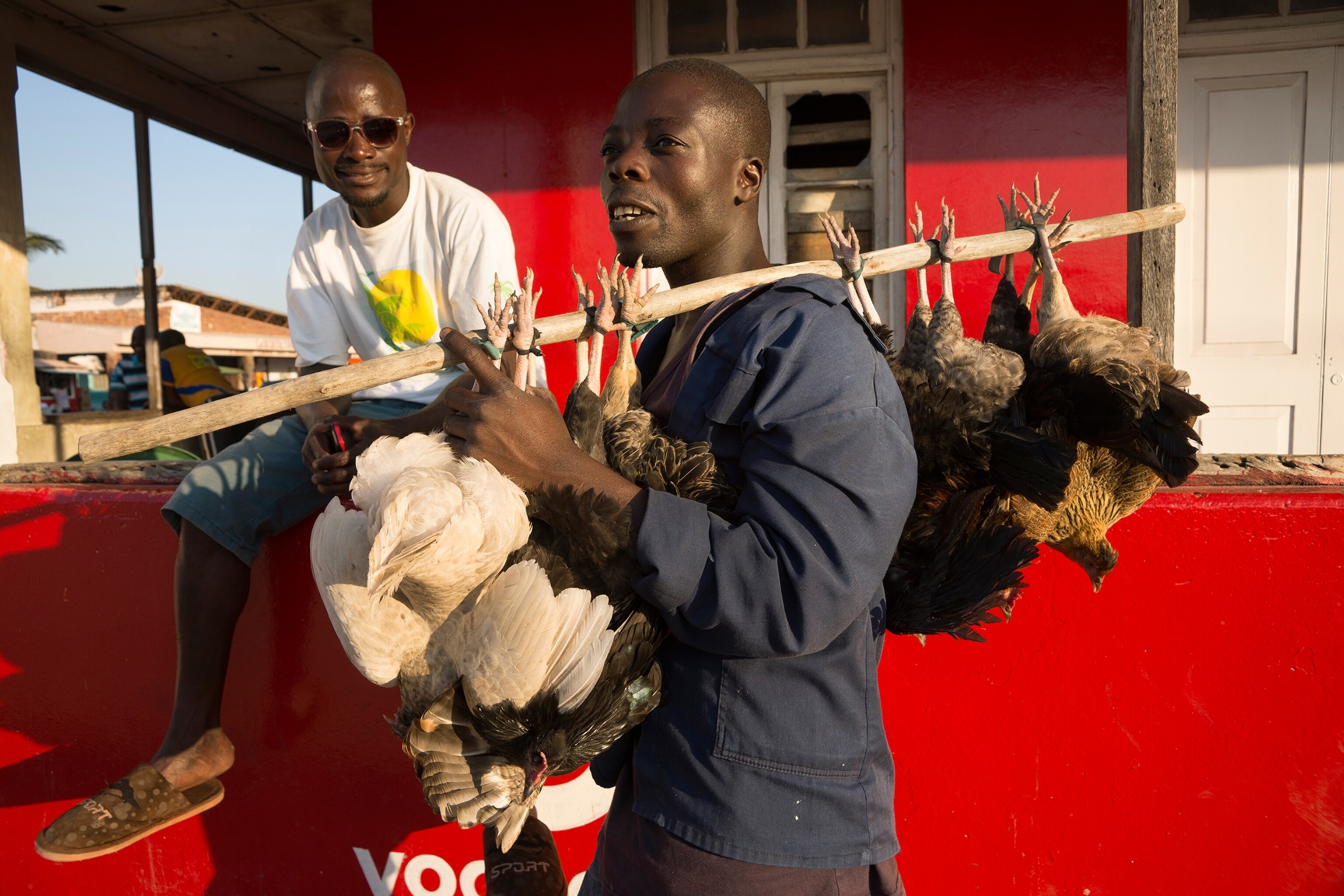 a man on the way to market with chickens stopping to chat with a friend in Vilankulo in Mozambique.