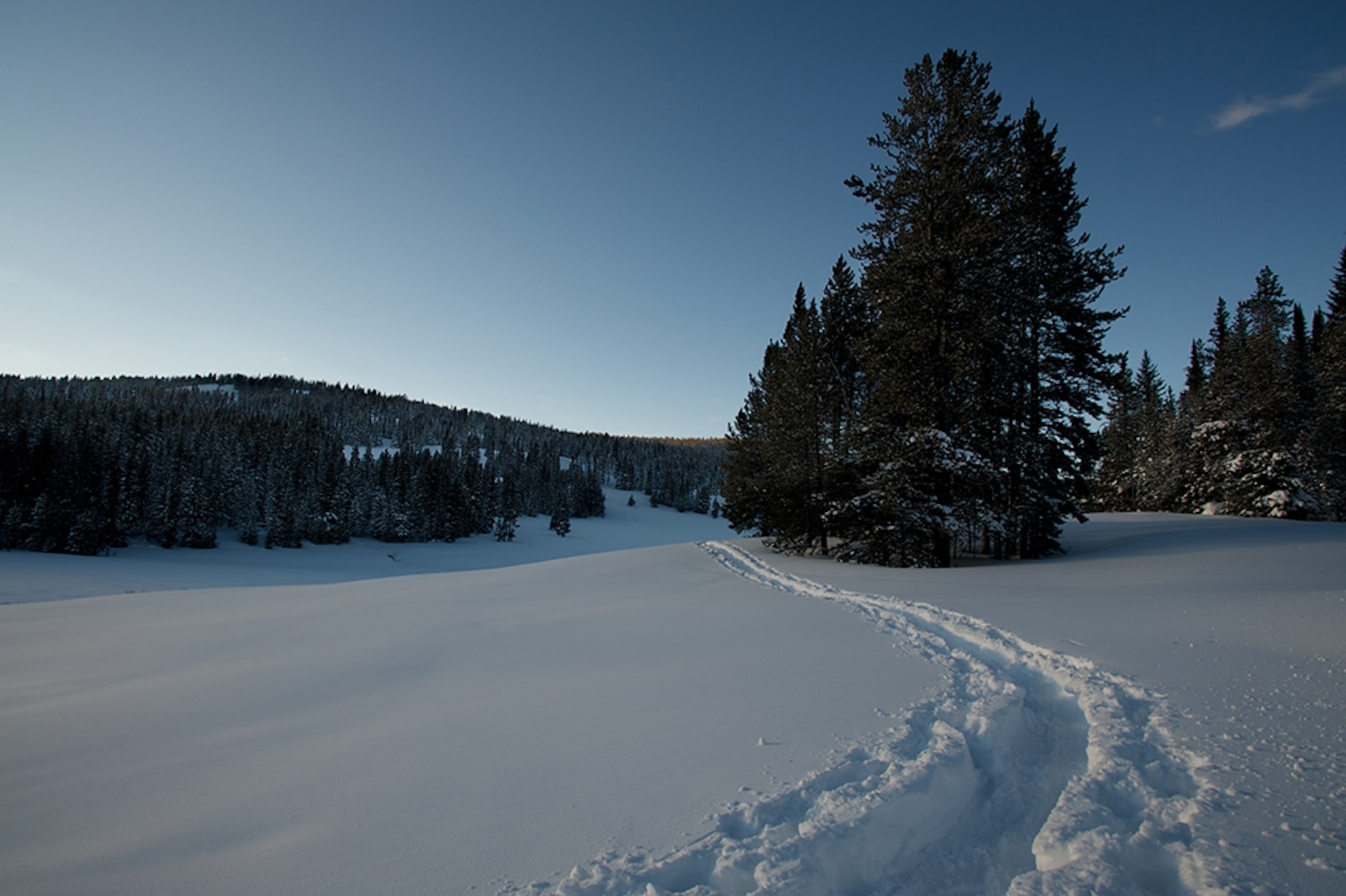 a snowy landscape off of U.S. Route 191 near West Yellowstone, Montana