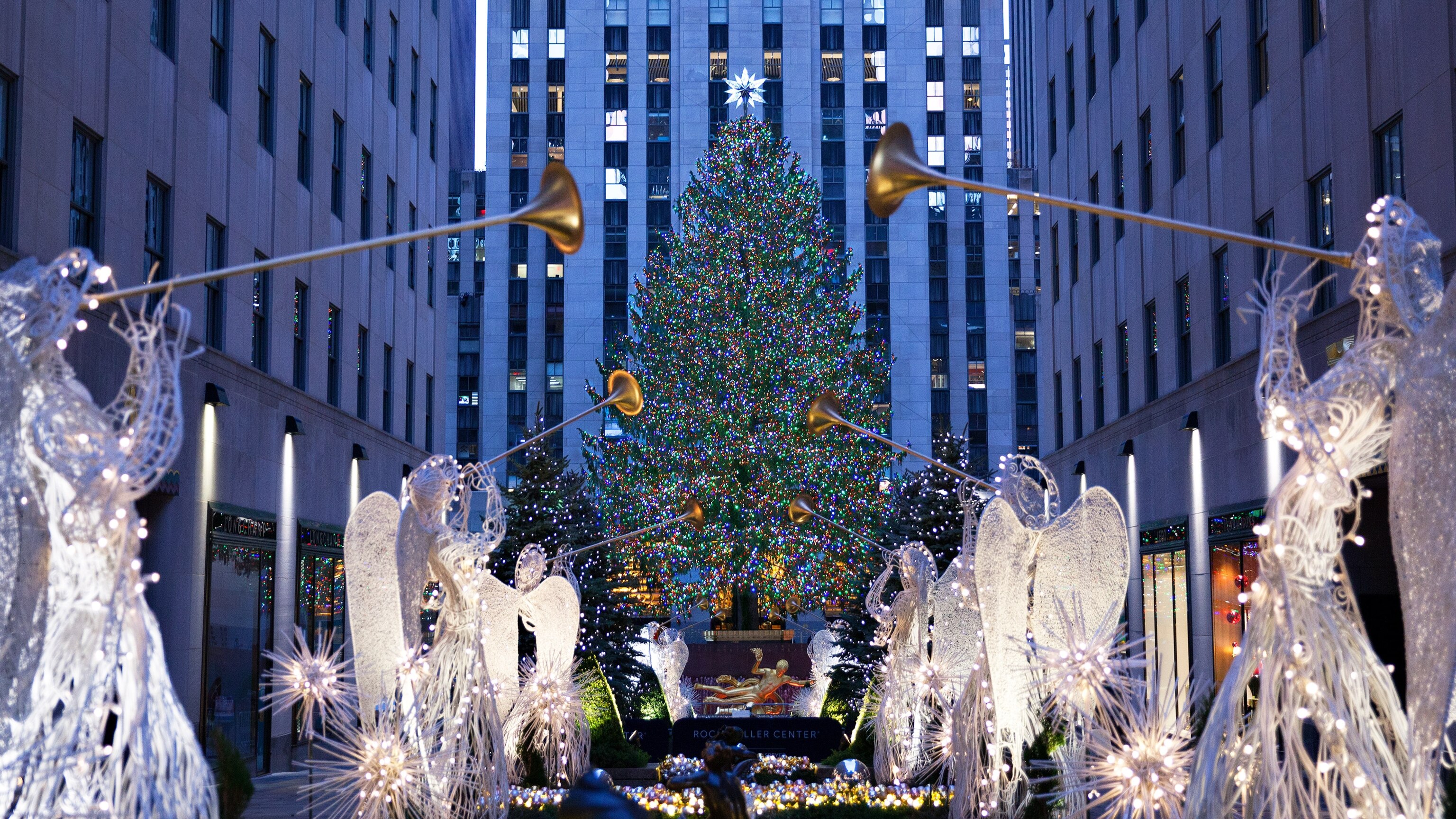 4 Quick Tips For Photographing Christmas Lights