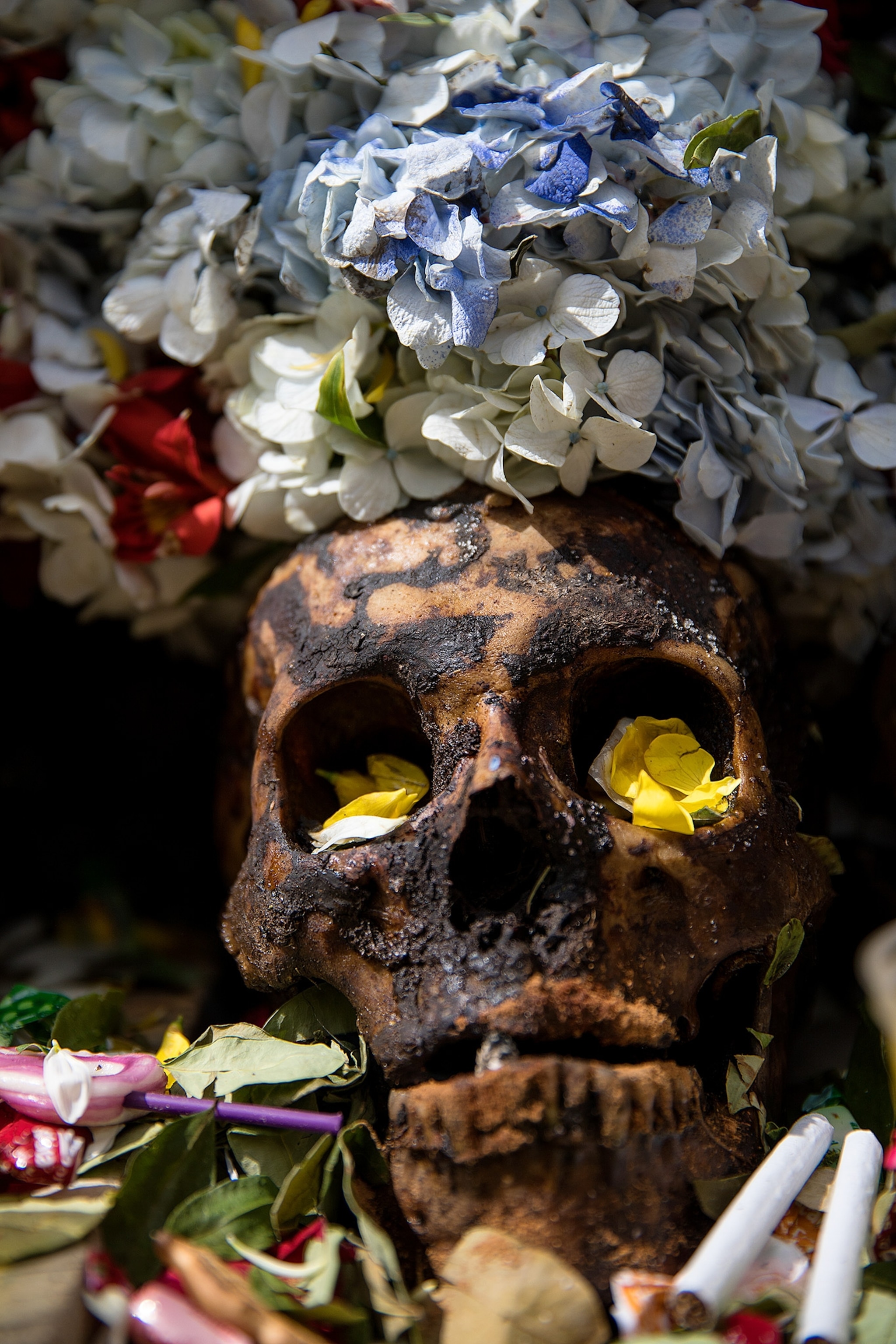 the Las Natitas skull festival in La Paz, Bolivia