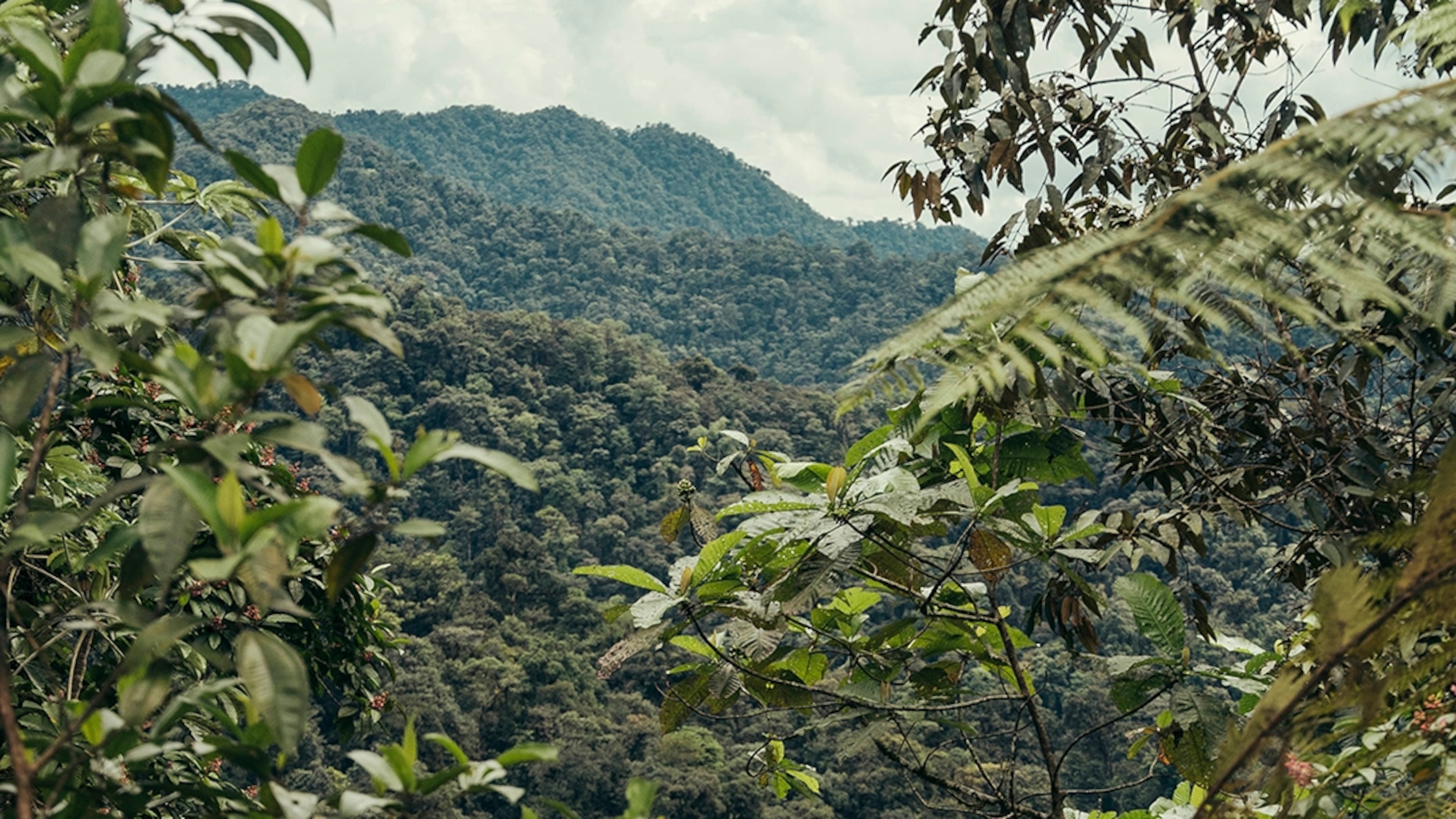 The world's best conservation projects worth travelling for