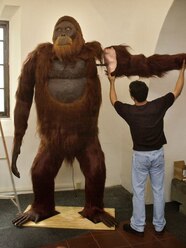 What Is The Most Dangerous Ape In The World BEST GAMES WALKTHROUGH