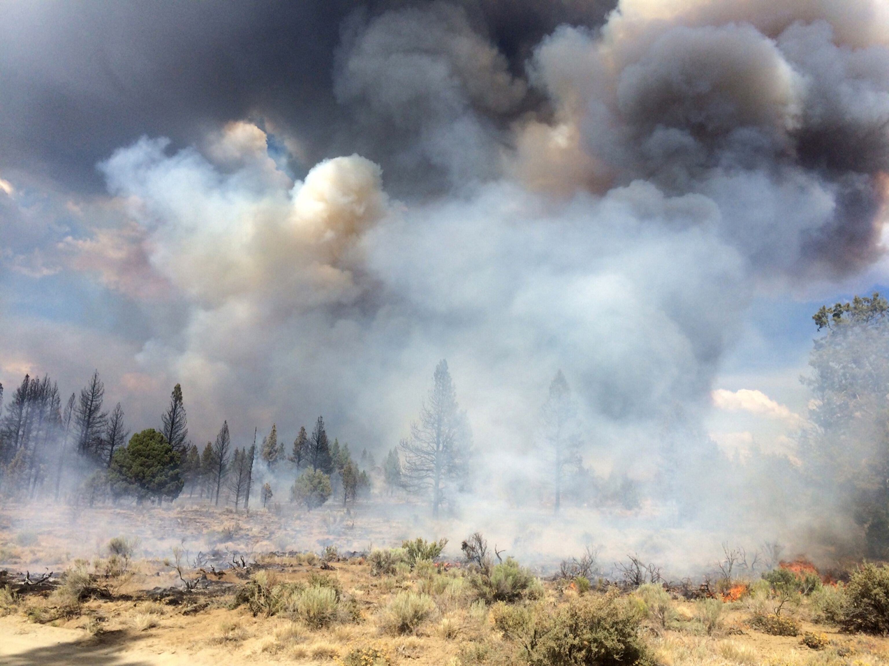 In this Sunday July 13, 2014, photo released by the Oregon Dept. of Forestry, the Moccasin Hill fire burns north of Sprague River and northeast of Klamath Falls, Ore.