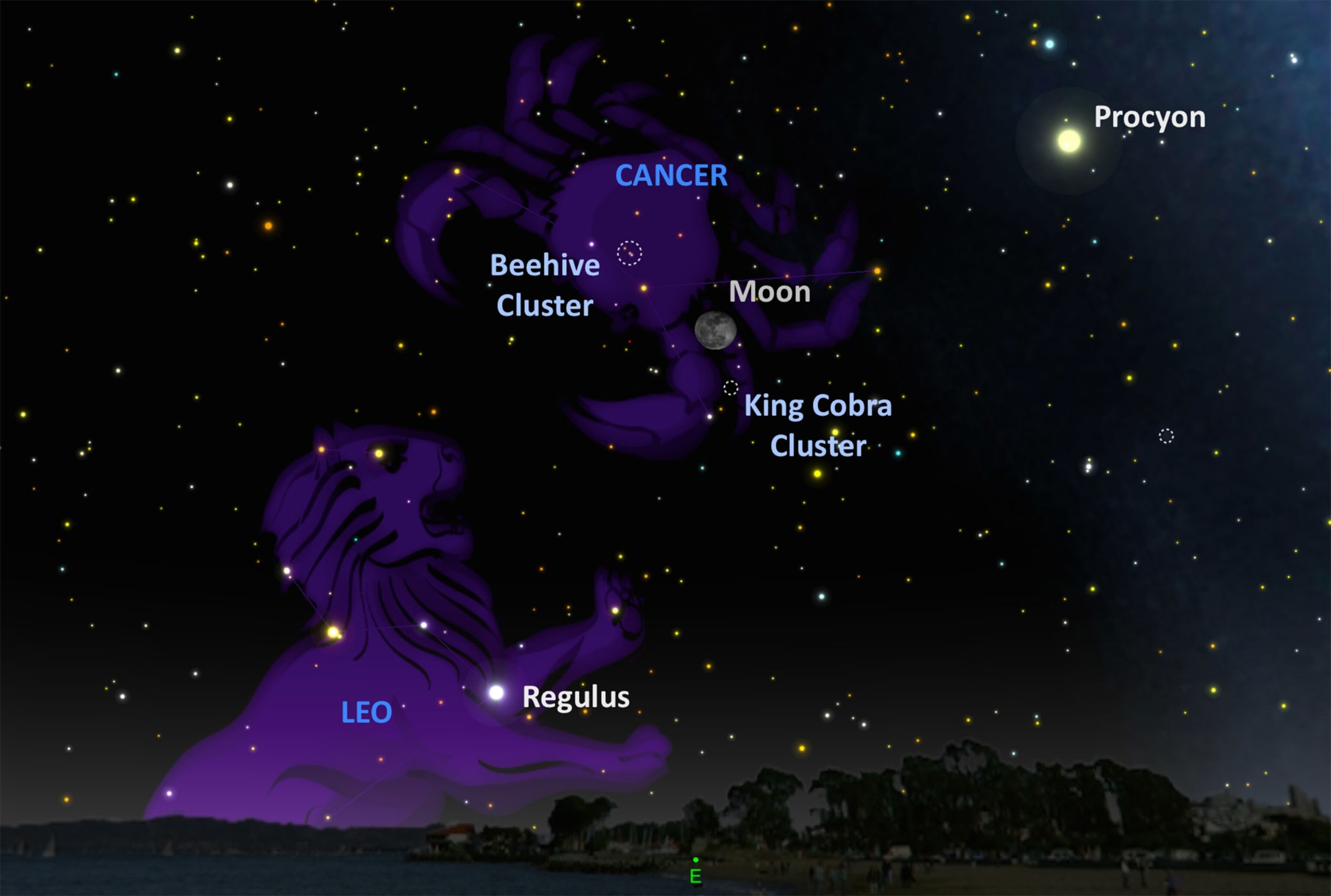 the constellation Cancer