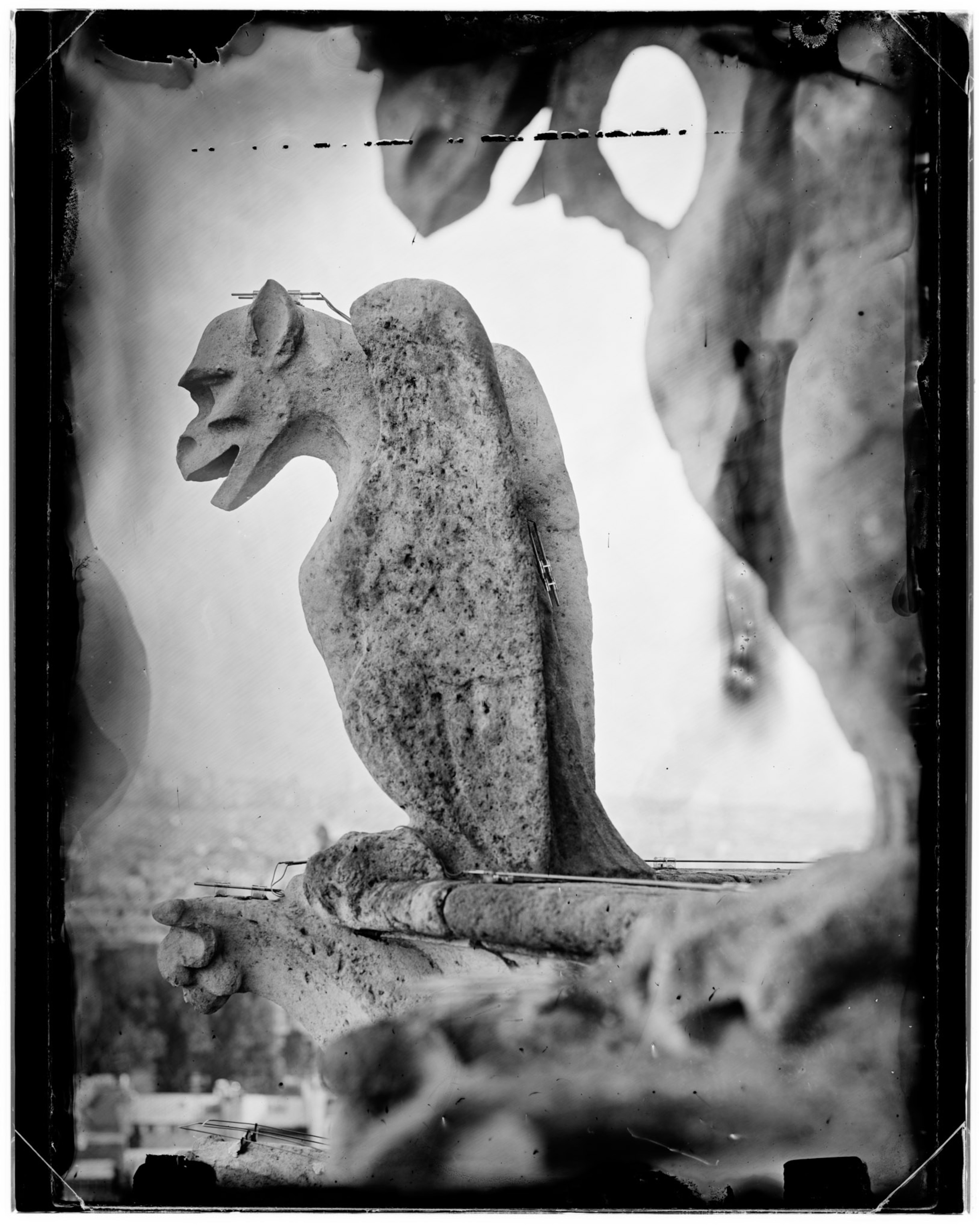 Gargoyle sits on Notre Dame cathedral