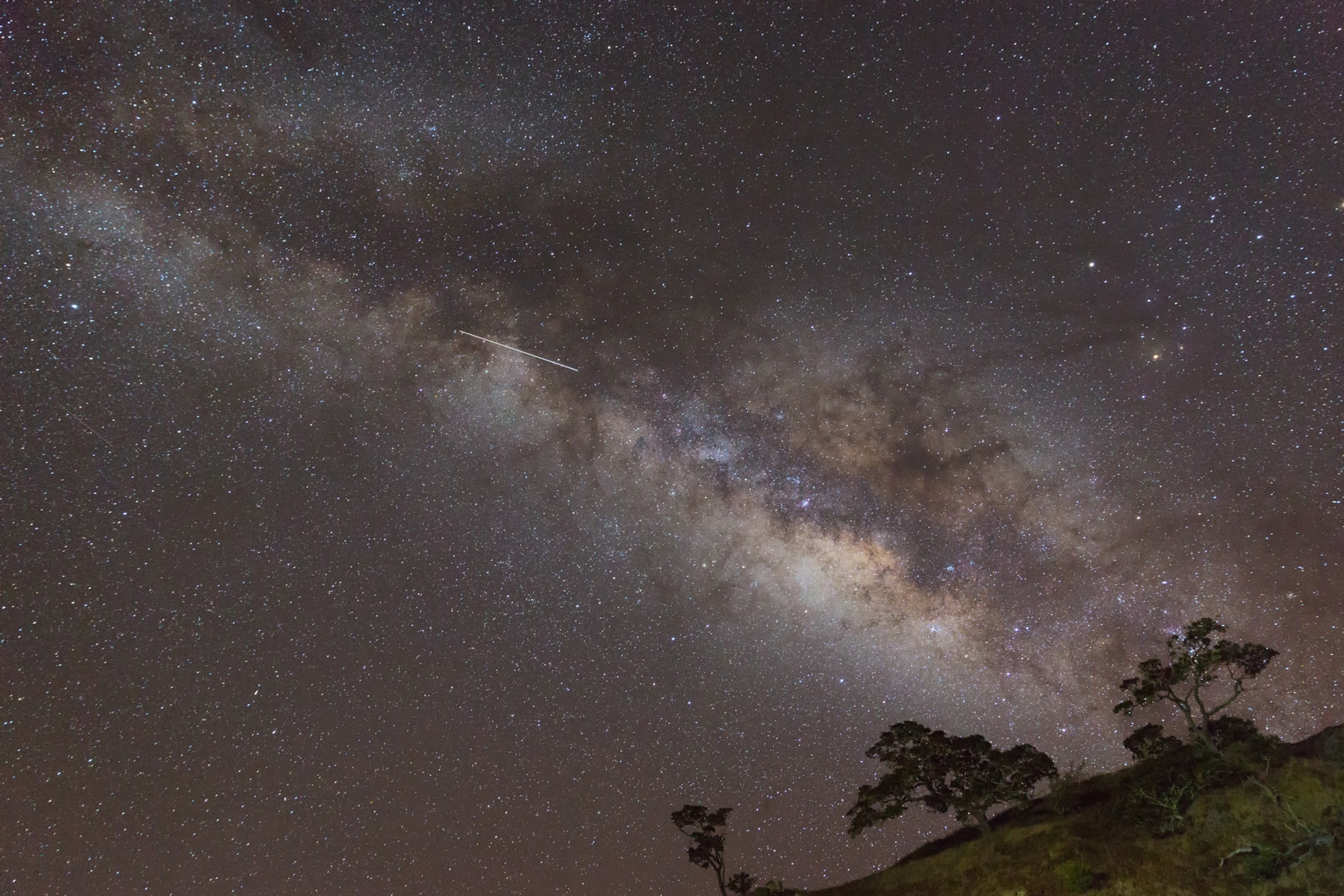 Southern Delta Aquariids Meteor in Milky Way