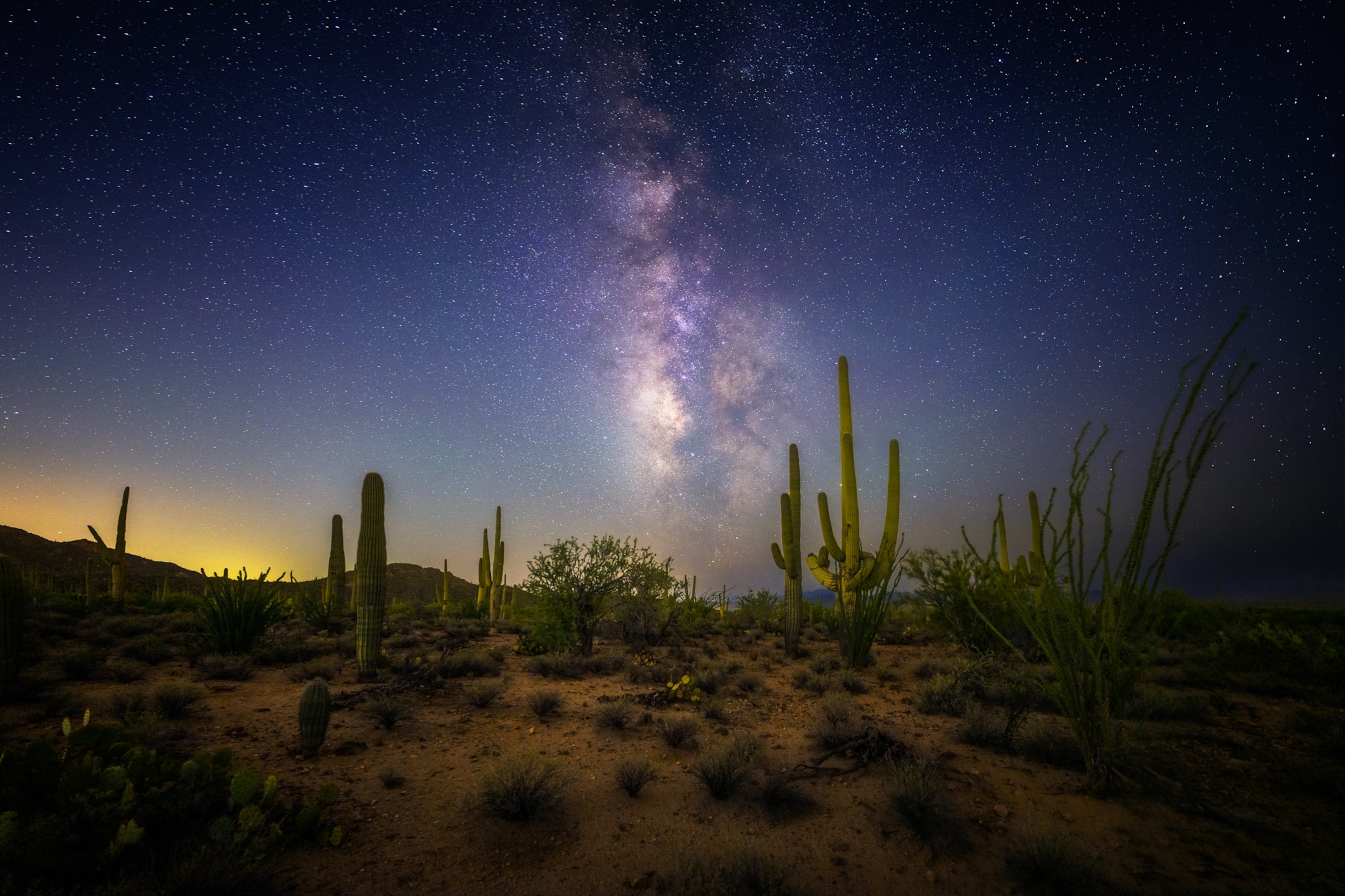 The Milky Way stretches across the night sky above a desert landscape filled with saguaro cacti, shrubs, and rocky hills.