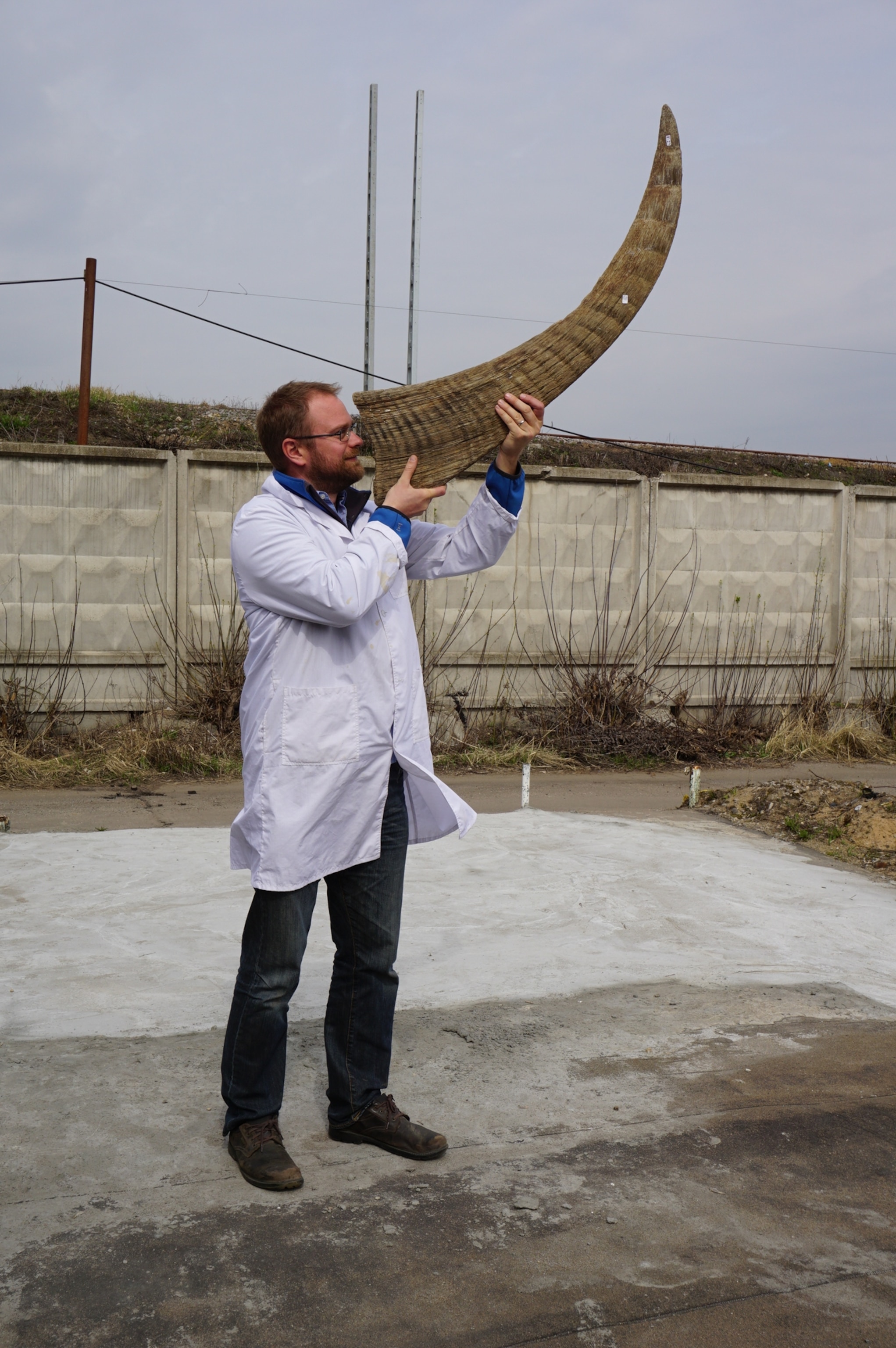 A man in a white lab coat holds a large, curved horn-like object to his nose. He stands outside, near a concrete fence under a cloudy sky.