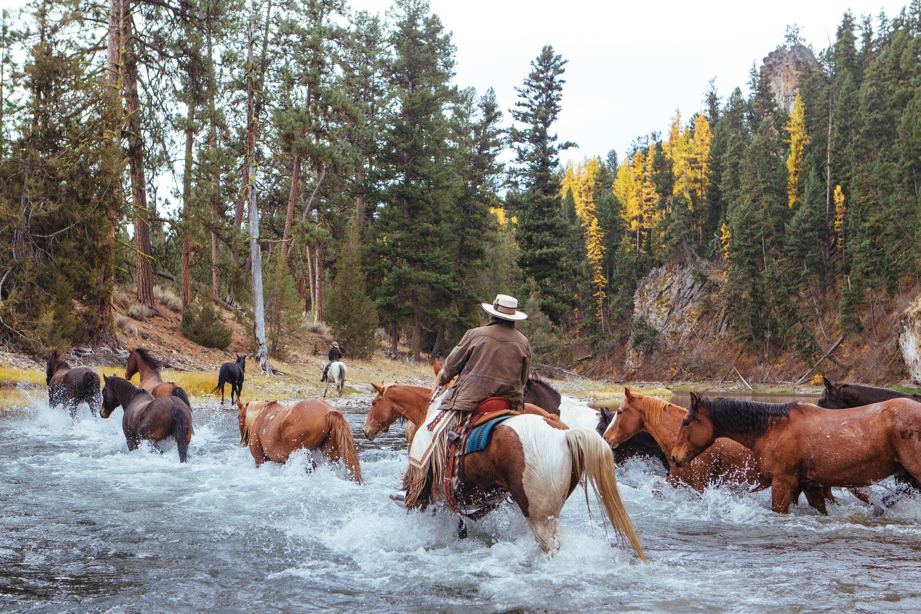 8 luxury getaways that prove you're never too old for summer camp | National  Geographic