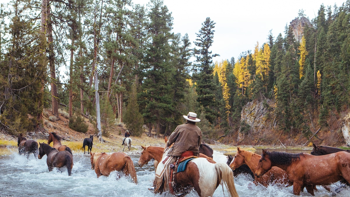 You’re never too old for summer camp—these 8 getaways prove it