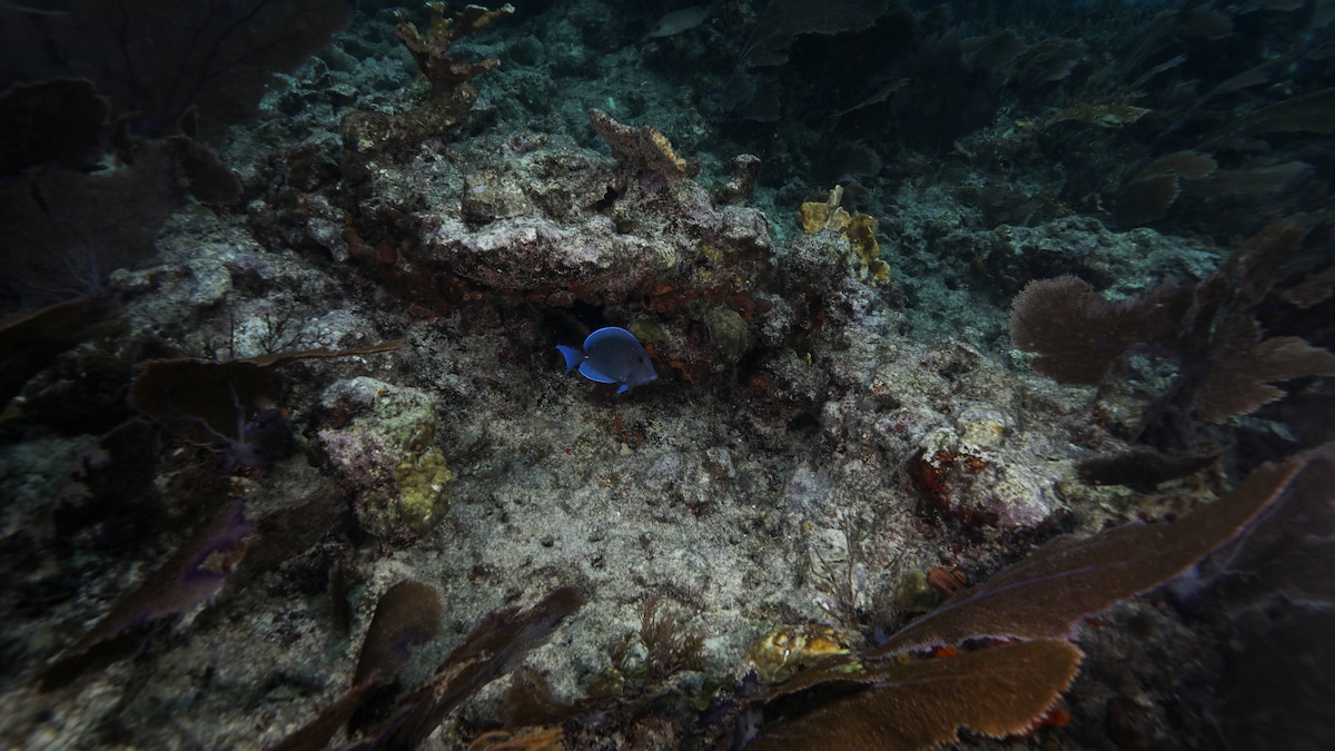 Why hurricane flooding is about to get even more dangerous in Florida – National Geographic