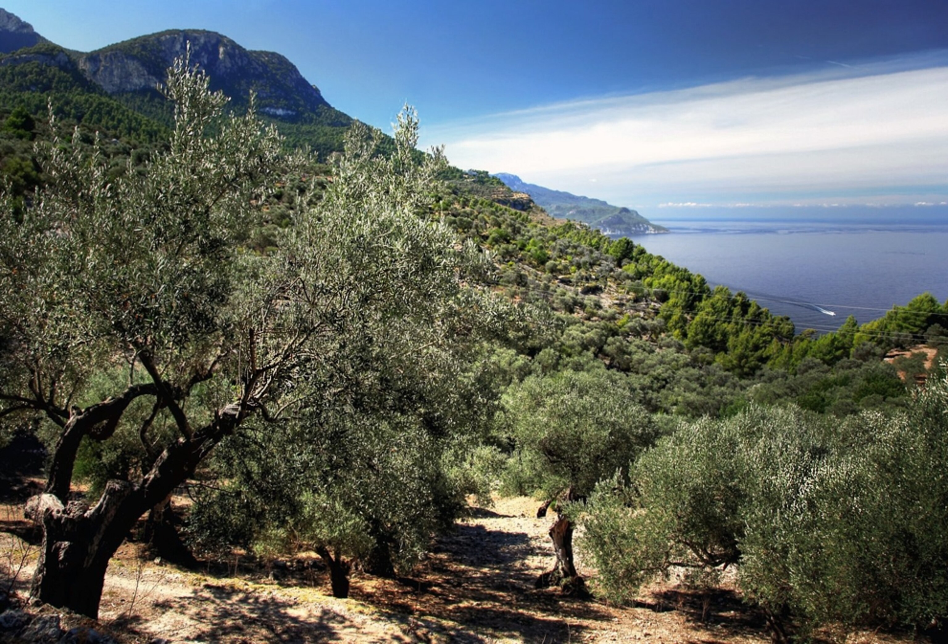 West coast of Mallorca