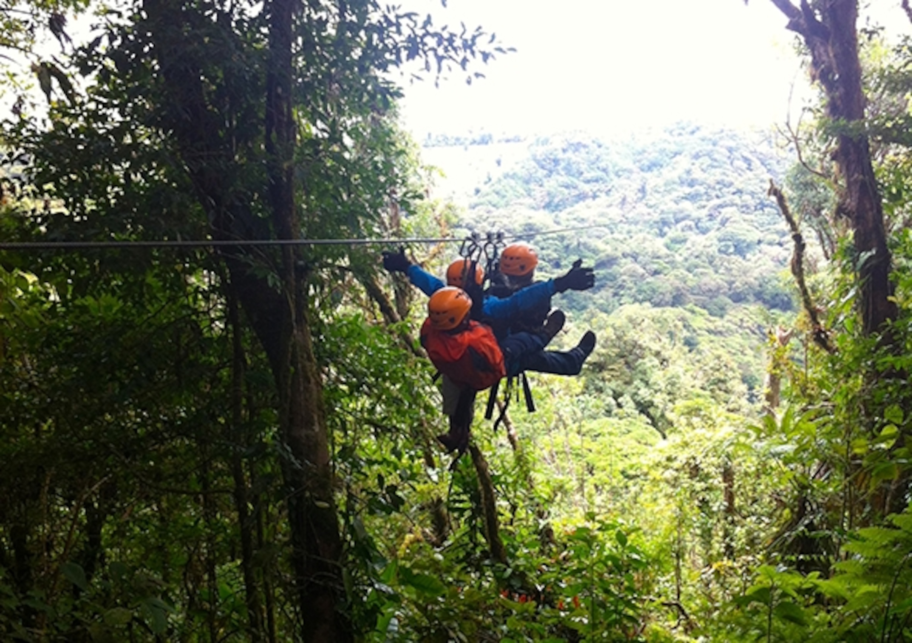 The zip line (Photograph courtesy Heather Greenwood Davis)