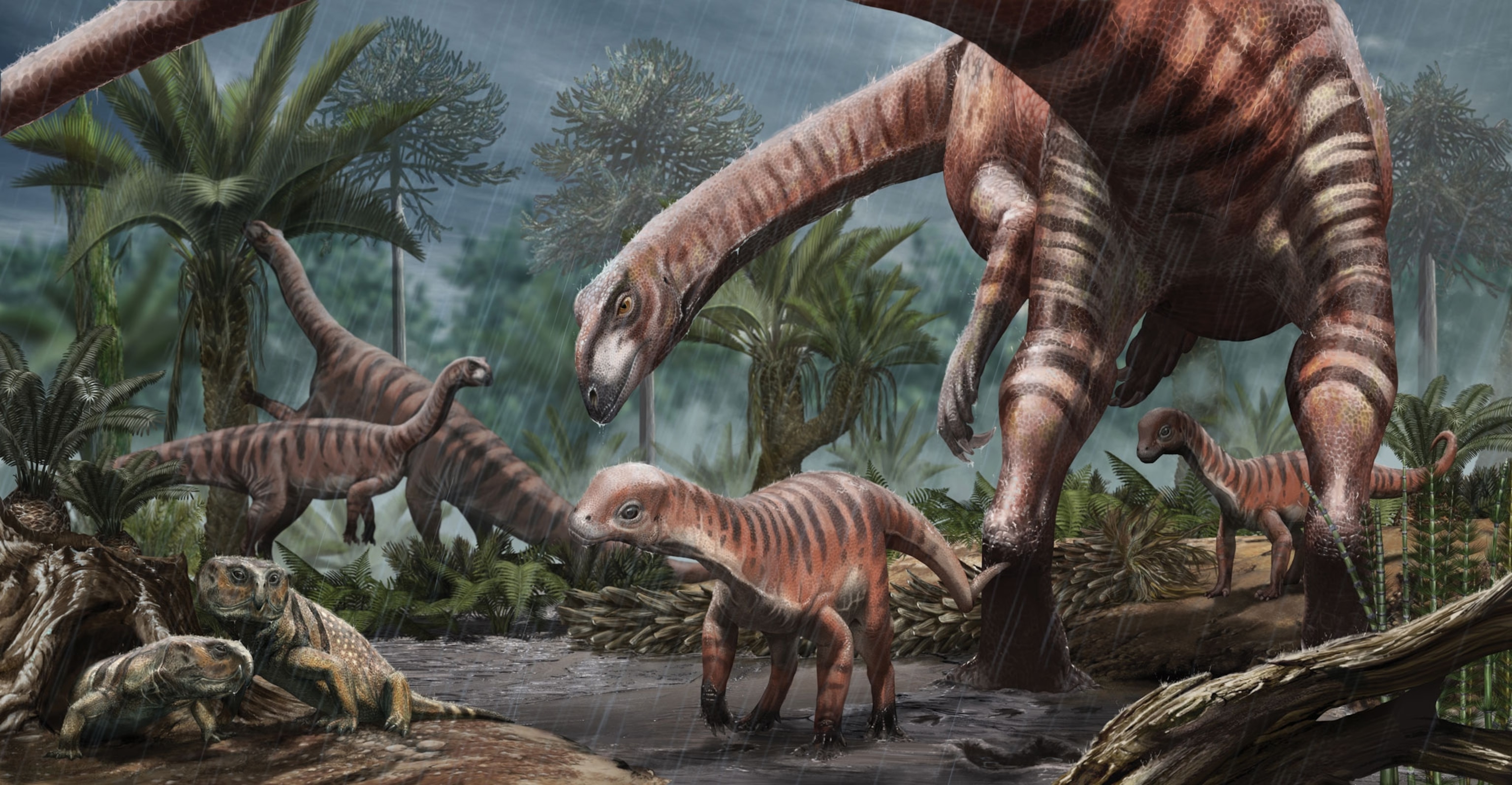 Jaw Dropping Evidence: Dinosaurs Roamed In Multi Species Herds – Footprints Reveal It All! - qdi4i2k