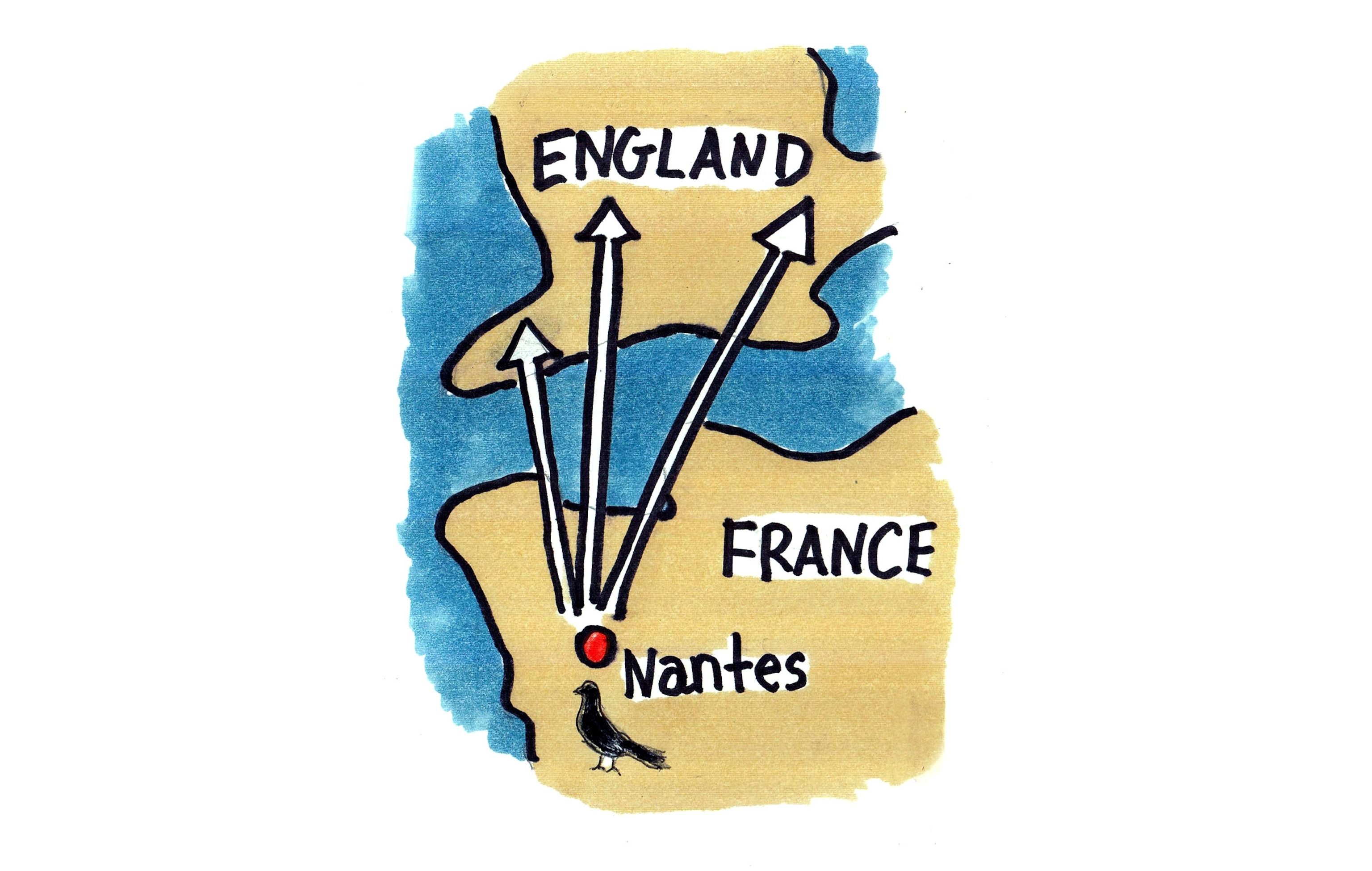 Drawing of the map of a homing pigeon race route from France to England