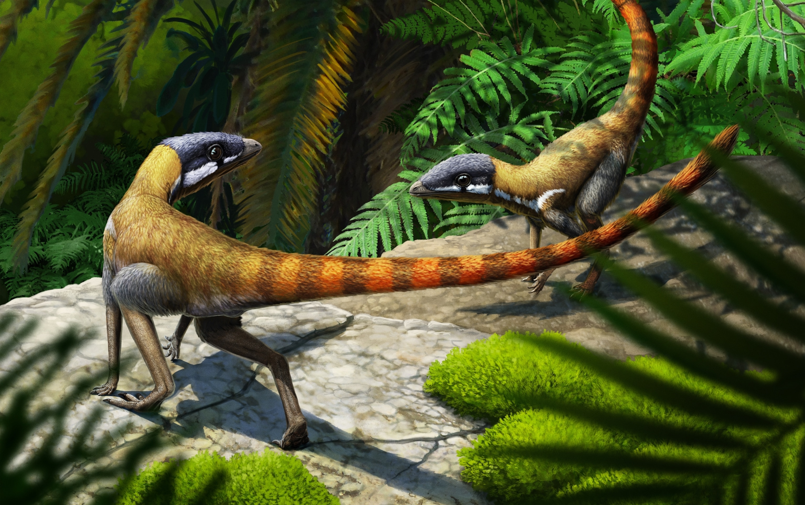 Illustration depicting a rendering of two Scleromochlus tayloris on a lush forest floor.