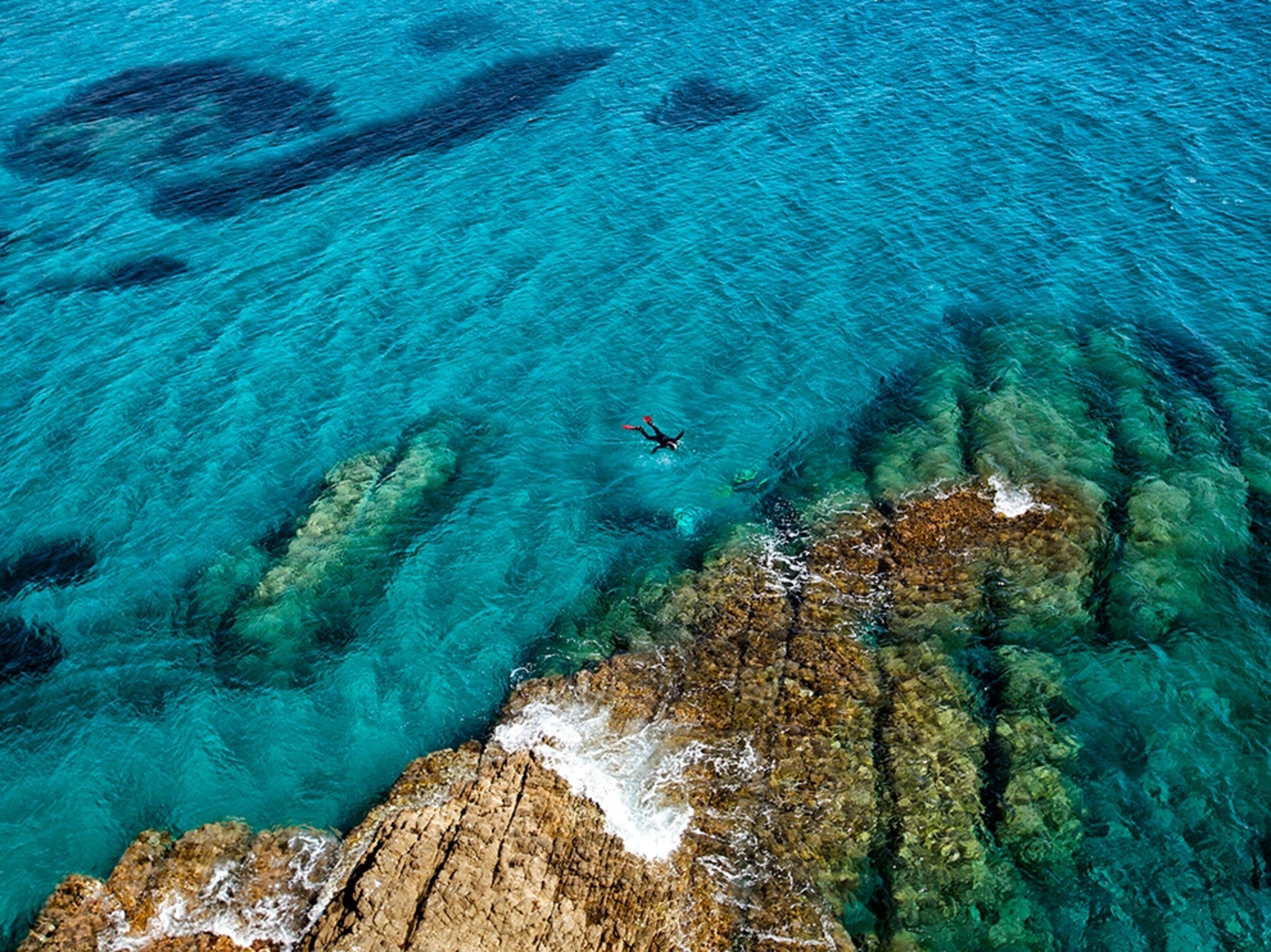 a scuba diver in the Mediterranean sea in Cabo de Gata, Spain